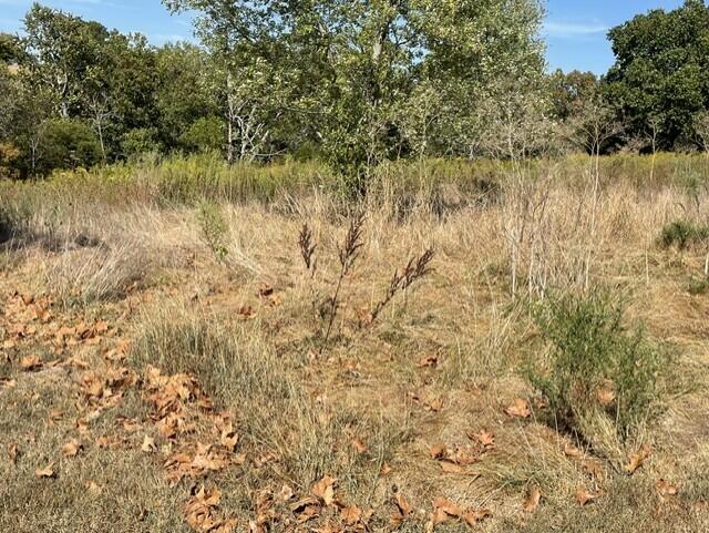 Photo 8 - Land for sale – 0  Lane Branch Road  Hurley, MO