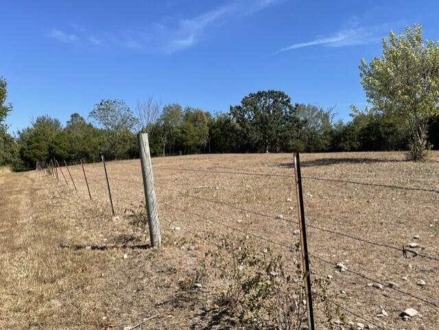 Photo 3 - Land for sale – 0  Lane Branch Road  Hurley, MO