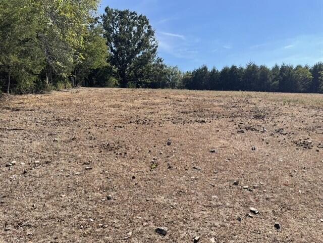 Photo 4 - Land for sale – 0  Lane Branch Road  Hurley, MO