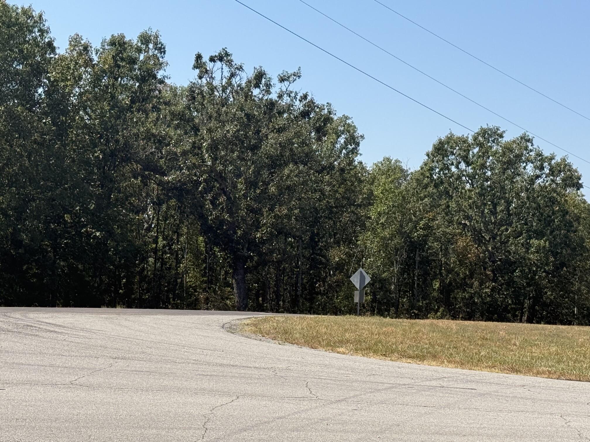 Photo 3 - Land for sale – 000  Hwy C   Ava, MO