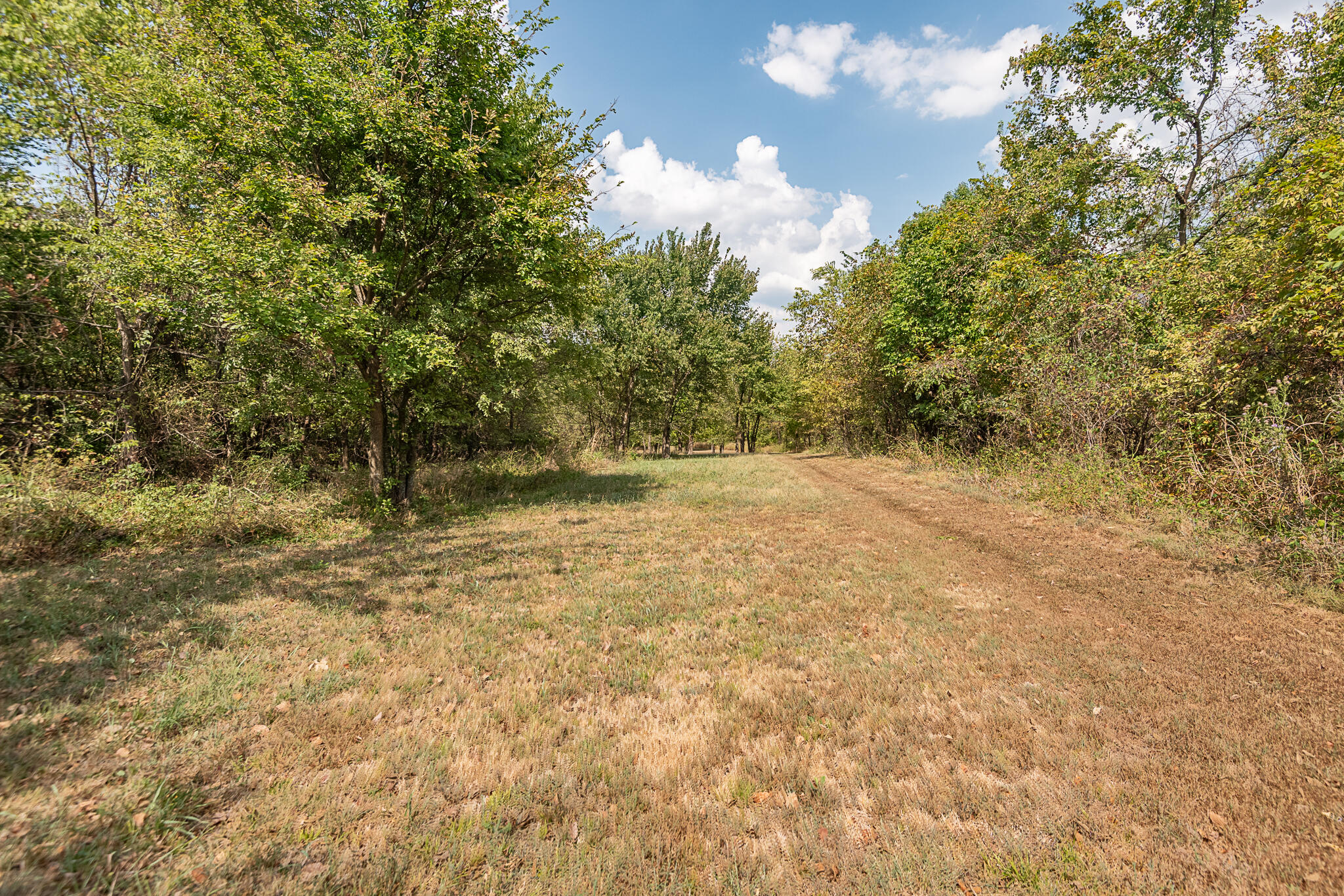 Photo 68 - Residential for sale – 10421 W Farm Road 156   Republic, MO