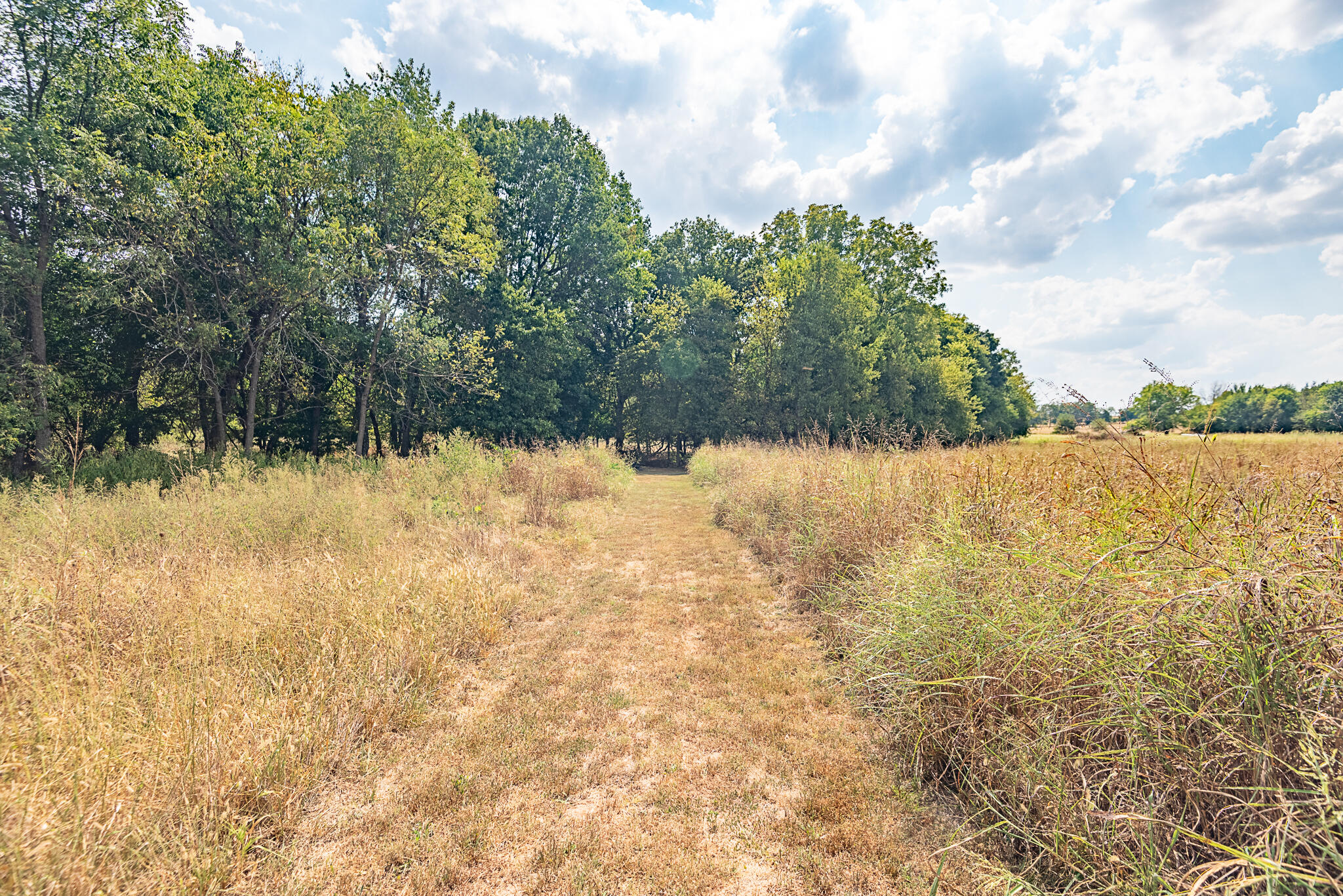 Photo 84 - Residential for sale – 10421 W Farm Road 156   Republic, MO