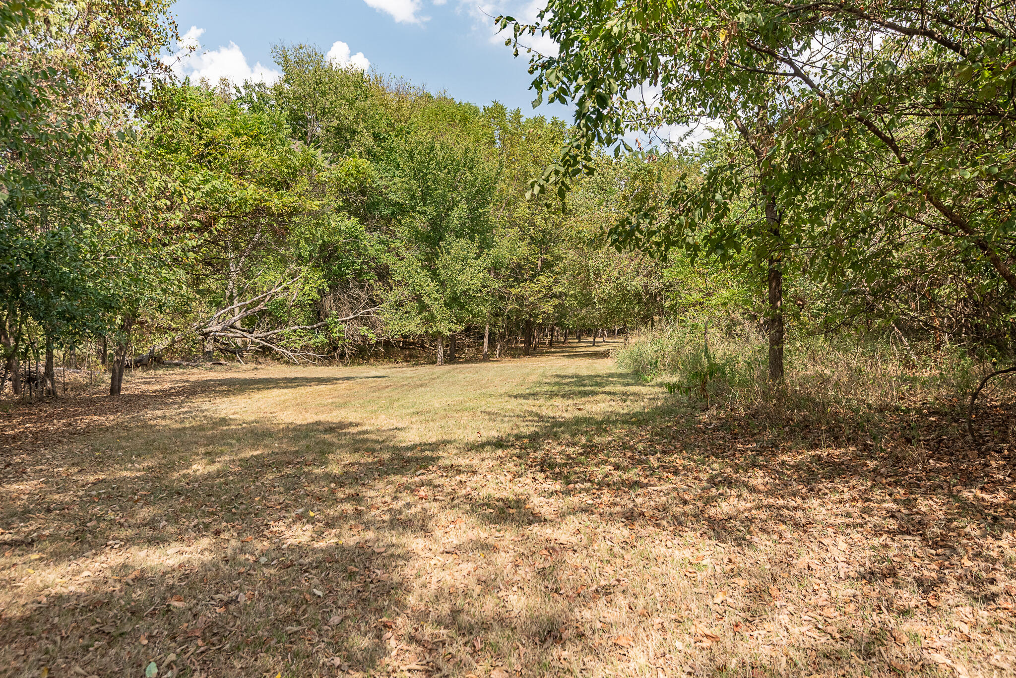 Photo 76 - Residential for sale – 10421 W Farm Road 156   Republic, MO