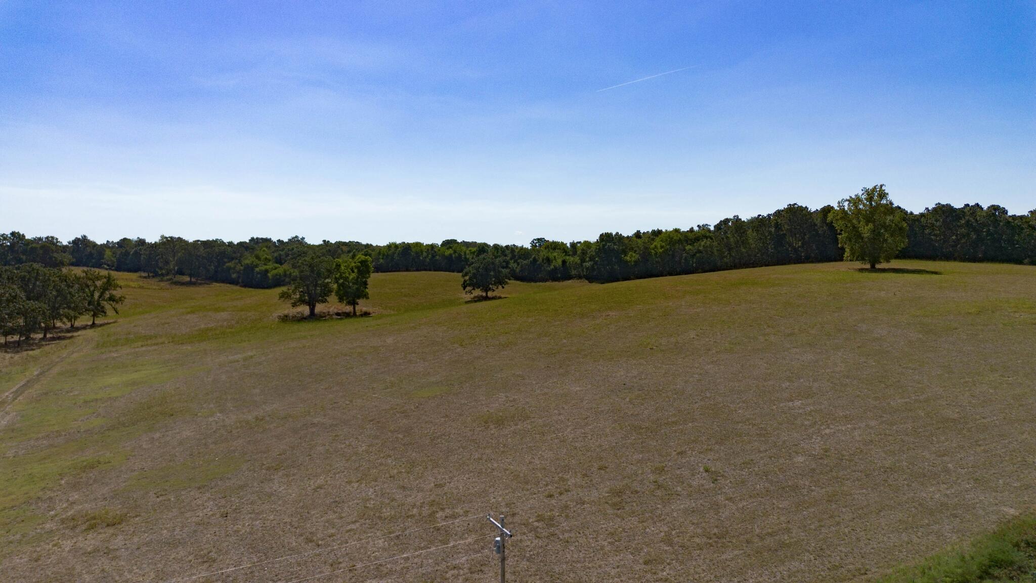 Photo 12 - Land for sale – 000 N State Route   Granby, MO