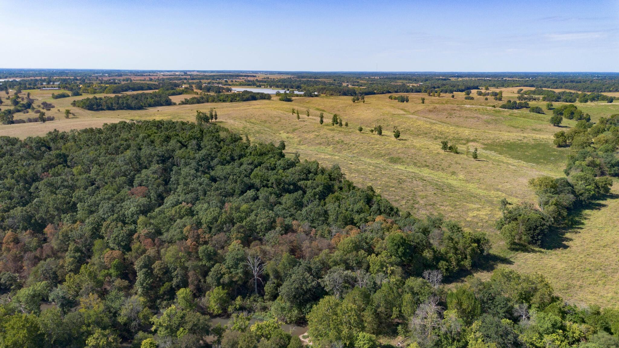 Photo 6 - Land for sale – 000 N State Route   Granby, MO