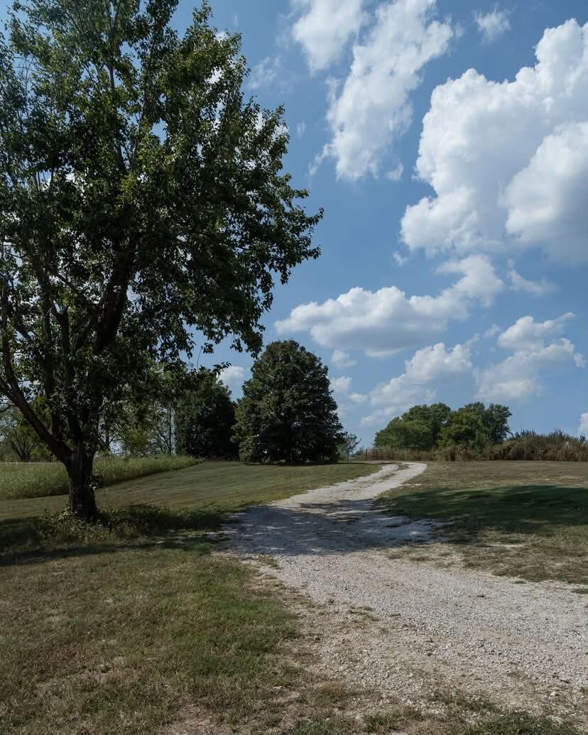 Photo 6 - Residential for sale – 18355  State Highway 32   Stockton, MO