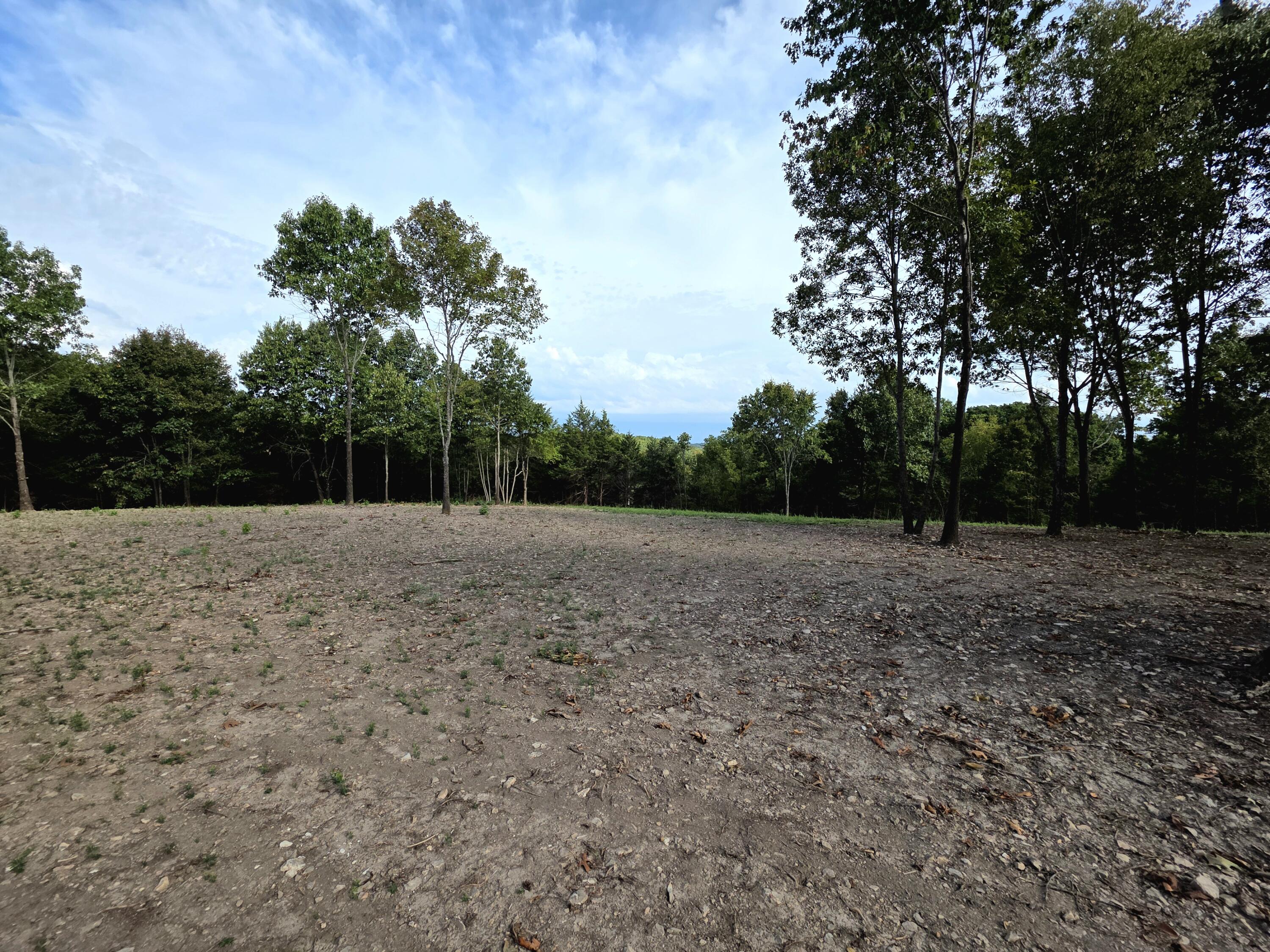 Photo 11 - Land for sale – Lot 4  Whispering Windings Court   Walnut Shade, MO