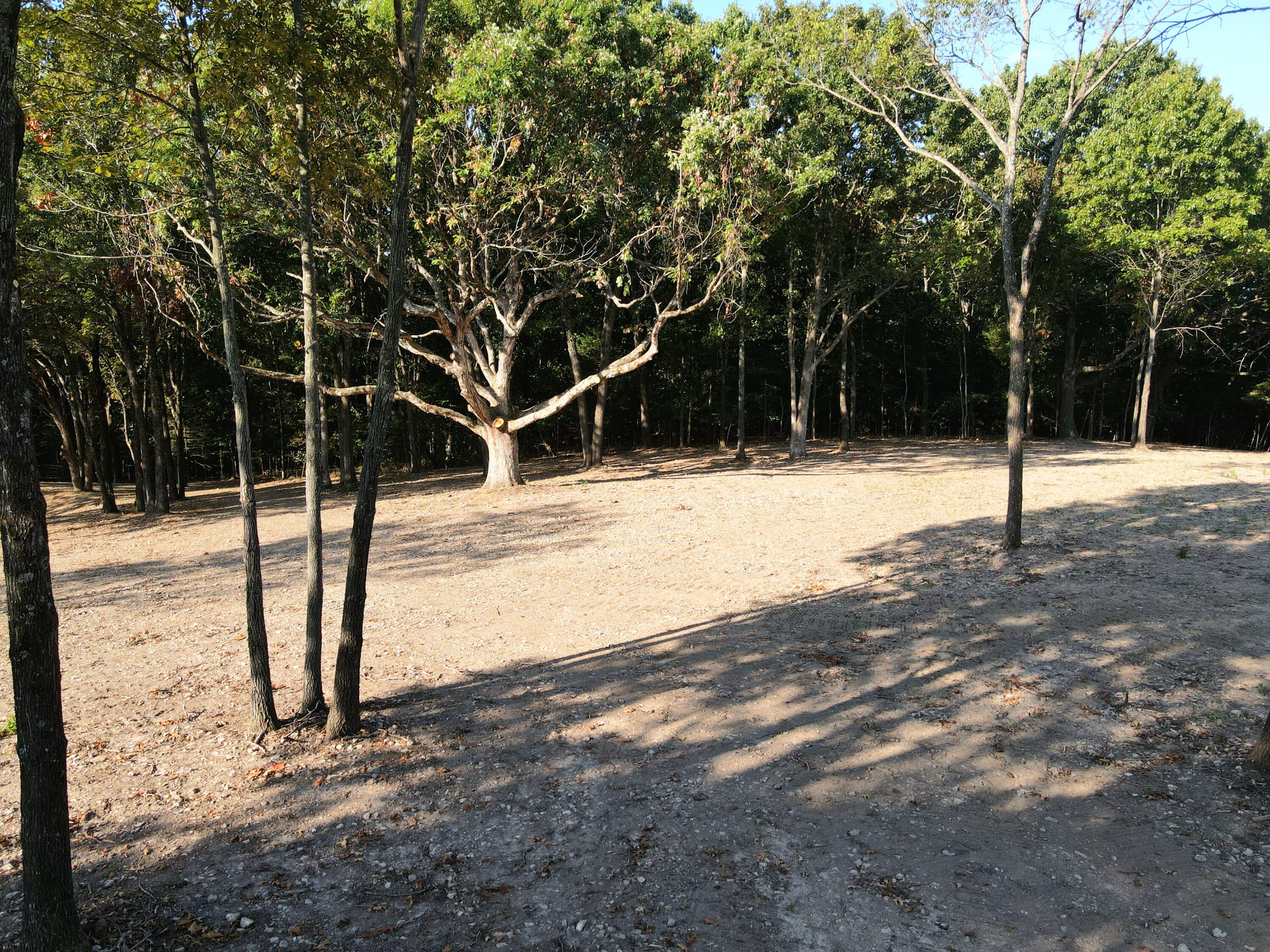 Photo 15 - Land for sale – Lot 4  Whispering Windings Court   Walnut Shade, MO