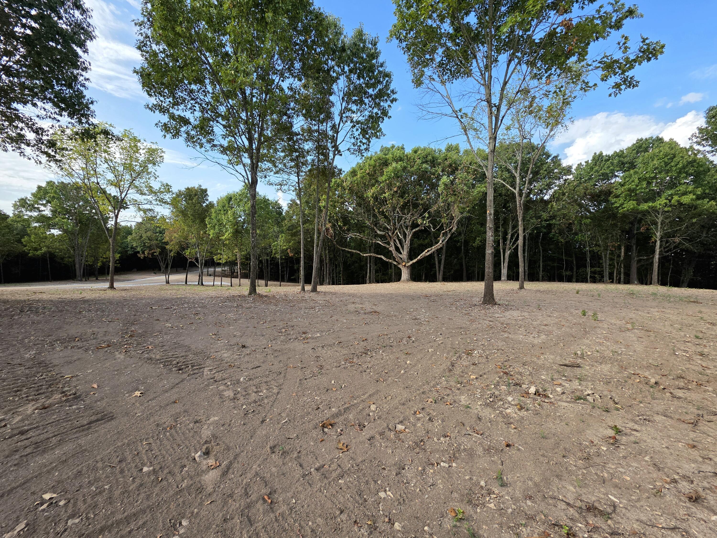 Photo 10 - Land for sale – Lot 4  Whispering Windings Court   Walnut Shade, MO