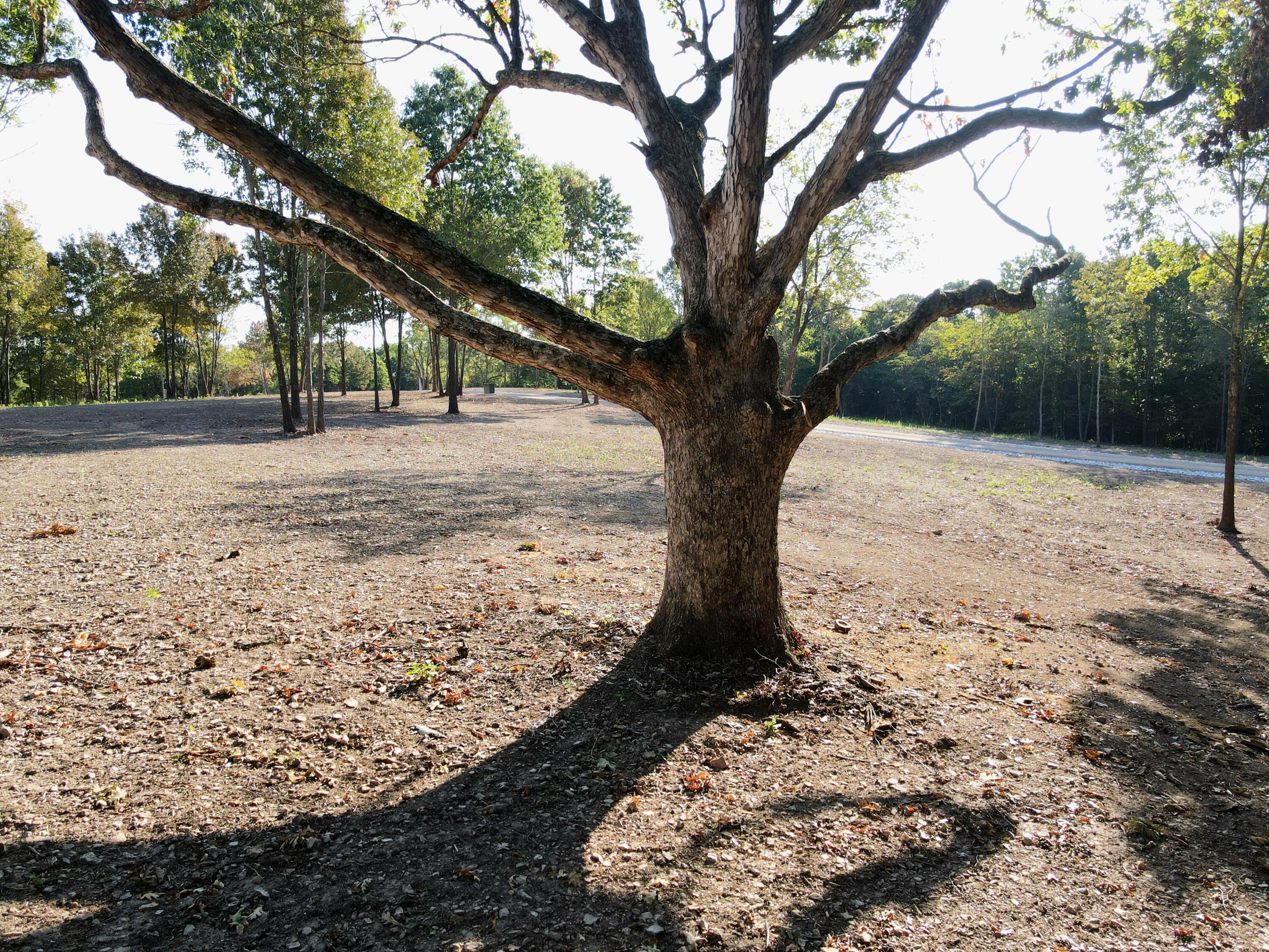 Photo 17 - Land for sale – Lot 4  Whispering Windings Court   Walnut Shade, MO