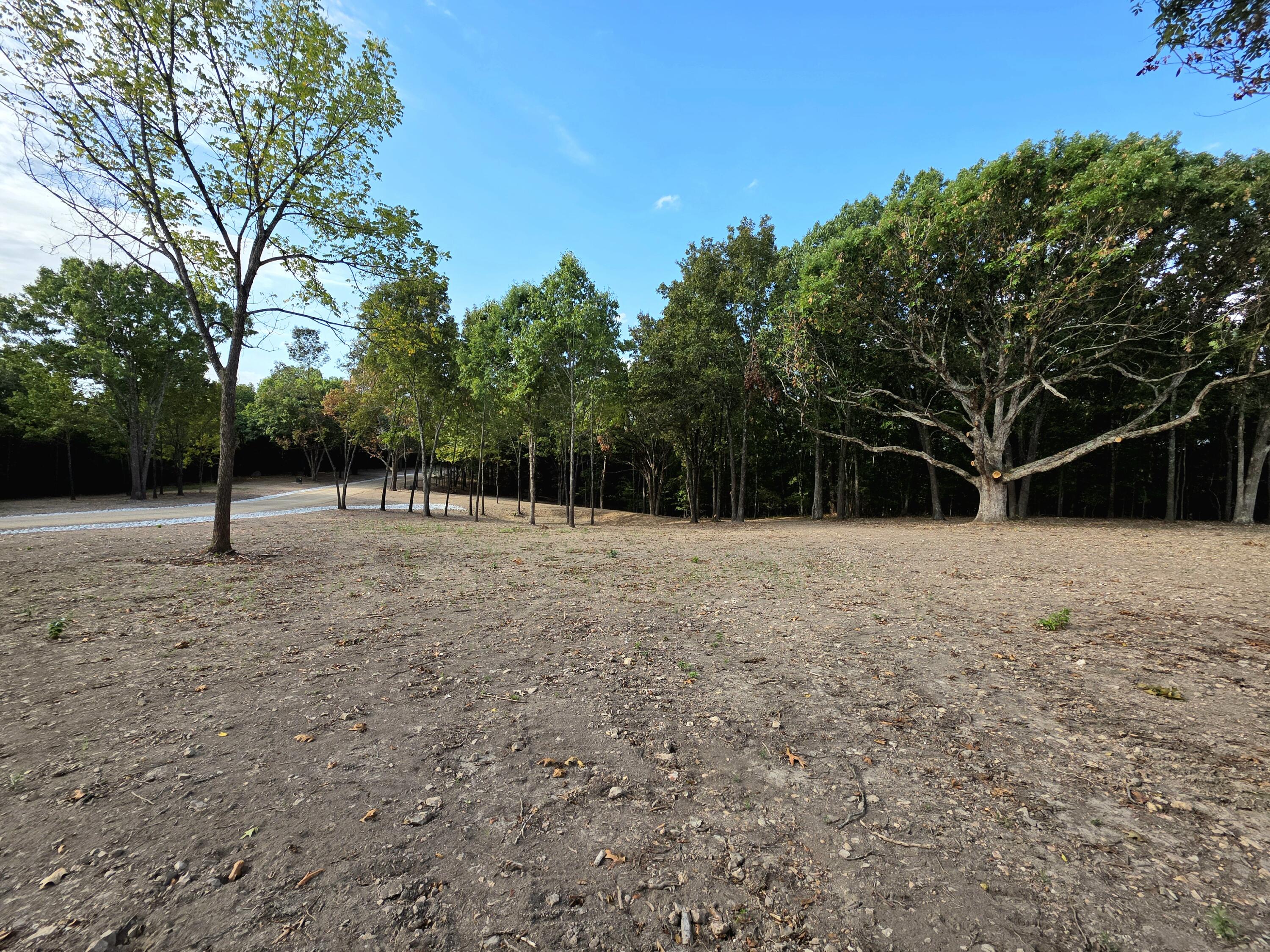 Photo 8 - Land for sale – Lot 4  Whispering Windings Court   Walnut Shade, MO