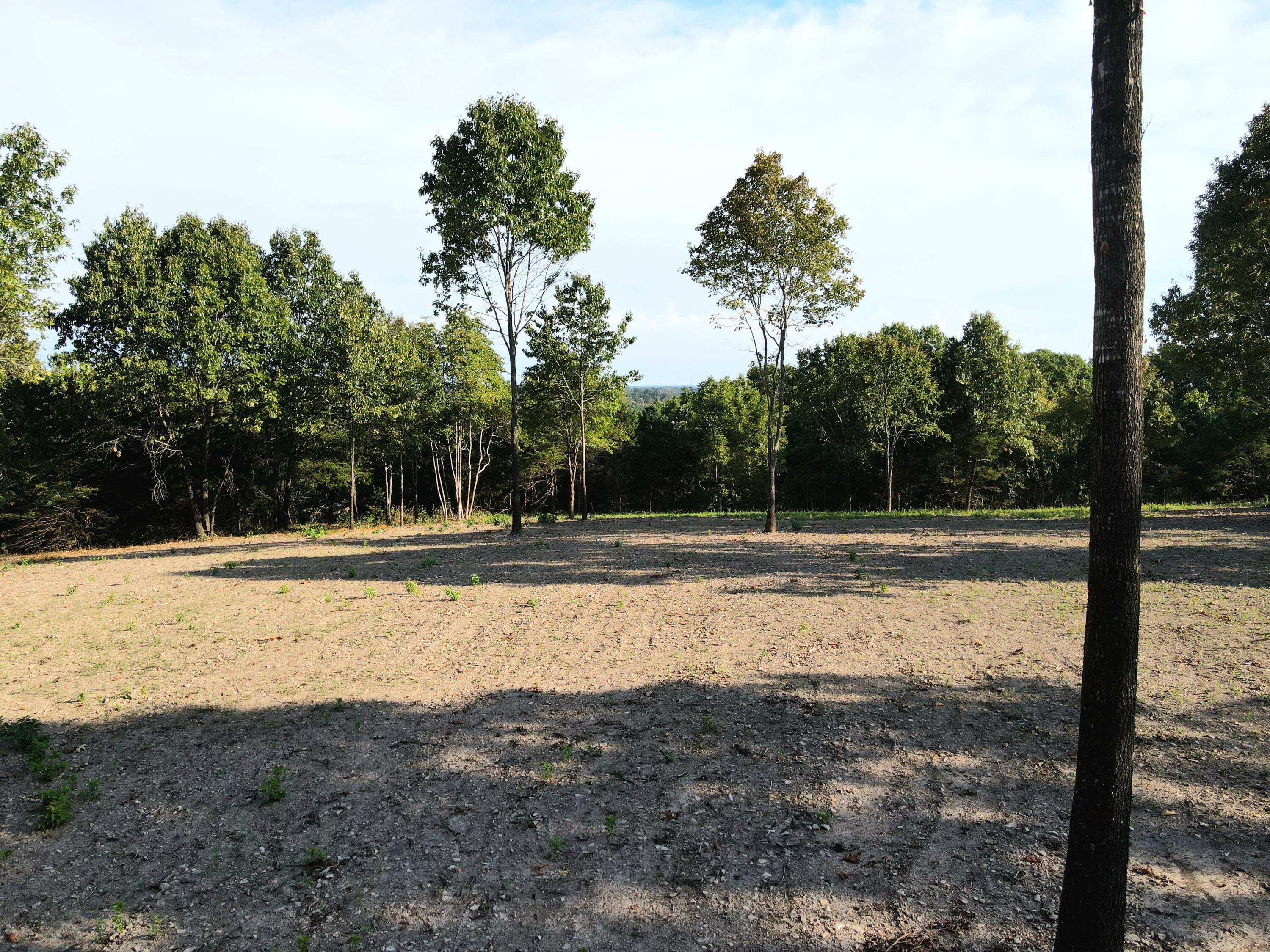 Photo 18 - Land for sale – Lot 4  Whispering Windings Court   Walnut Shade, MO