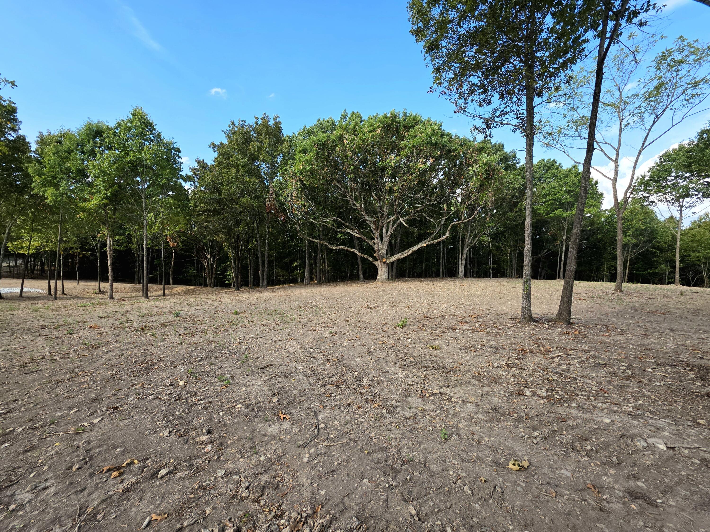 Photo 7 - Land for sale – Lot 4  Whispering Windings Court   Walnut Shade, MO