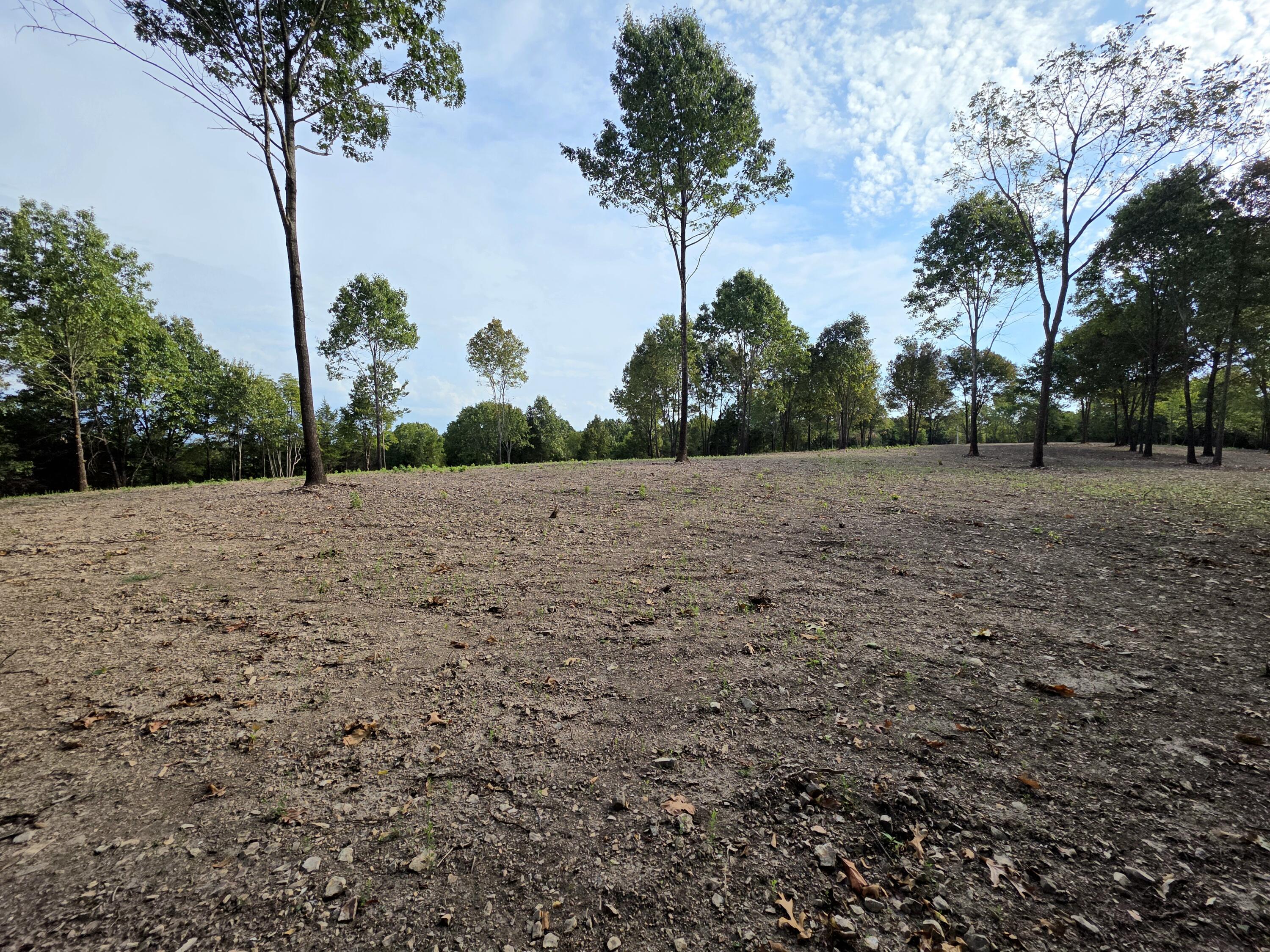 Photo 14 - Land for sale – Lot 4  Whispering Windings Court   Walnut Shade, MO
