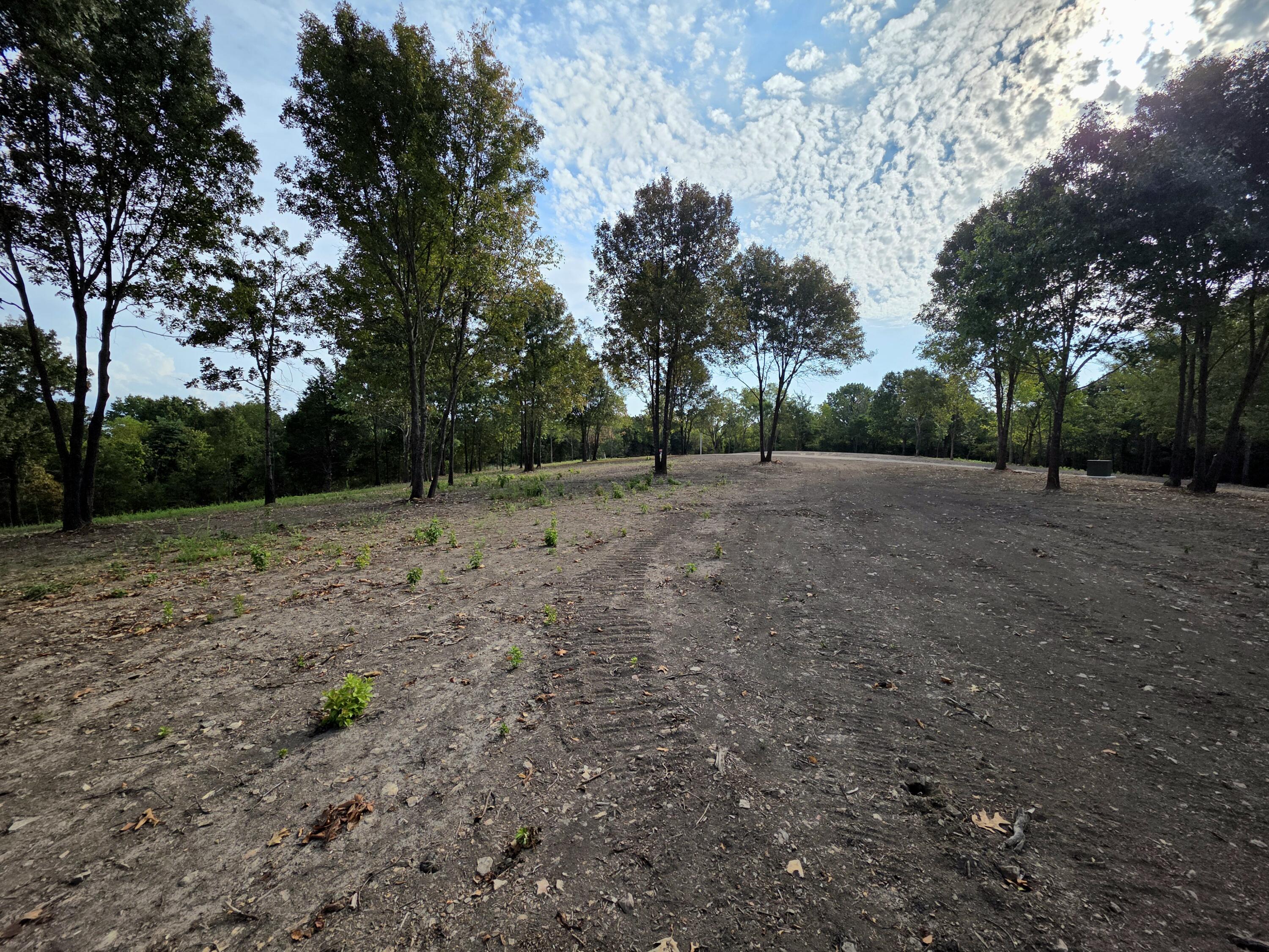 Photo 9 - Land for sale – Lot 4  Whispering Windings Court   Walnut Shade, MO