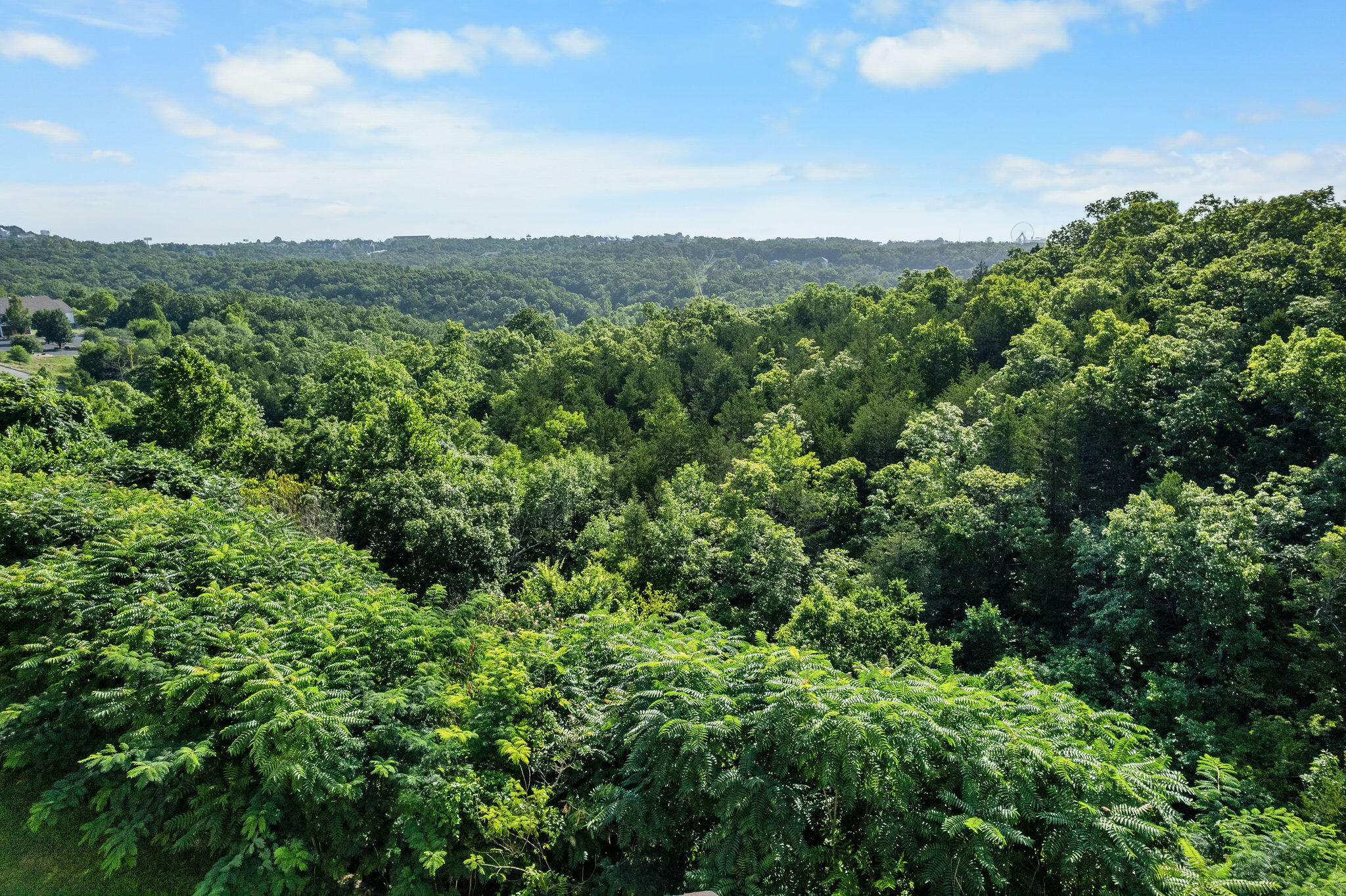 Photo 23 - Residential for sale – 2919  Vineyards Parkway 10-2   Branson, MO