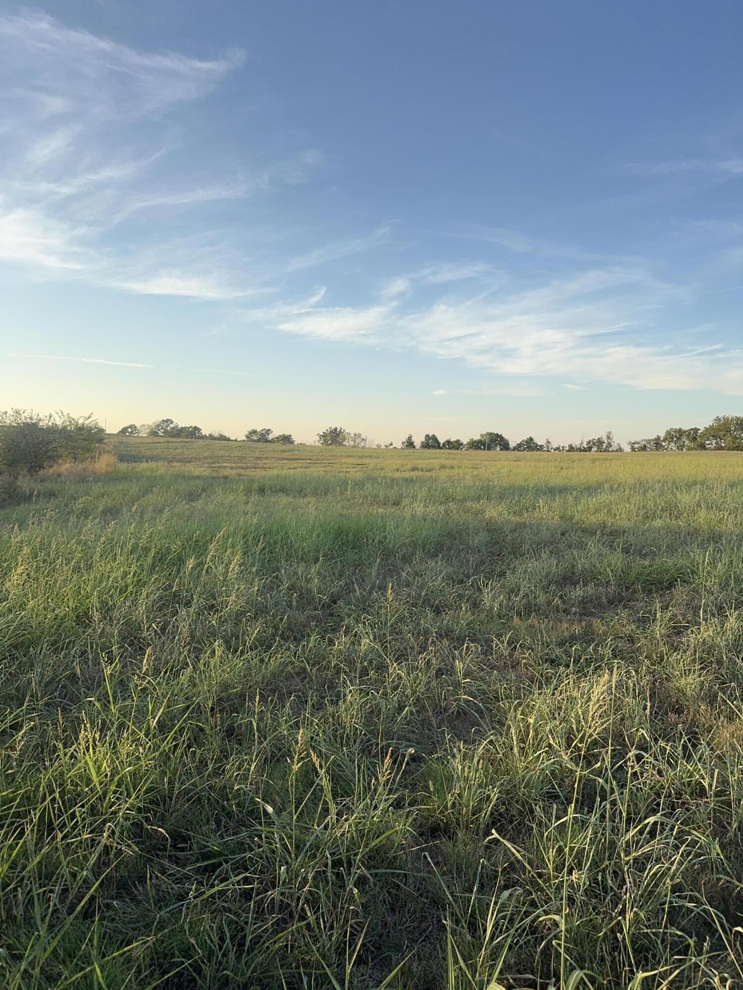 Land for sale – 000 W Lowery Road  Lead Hill, AR
