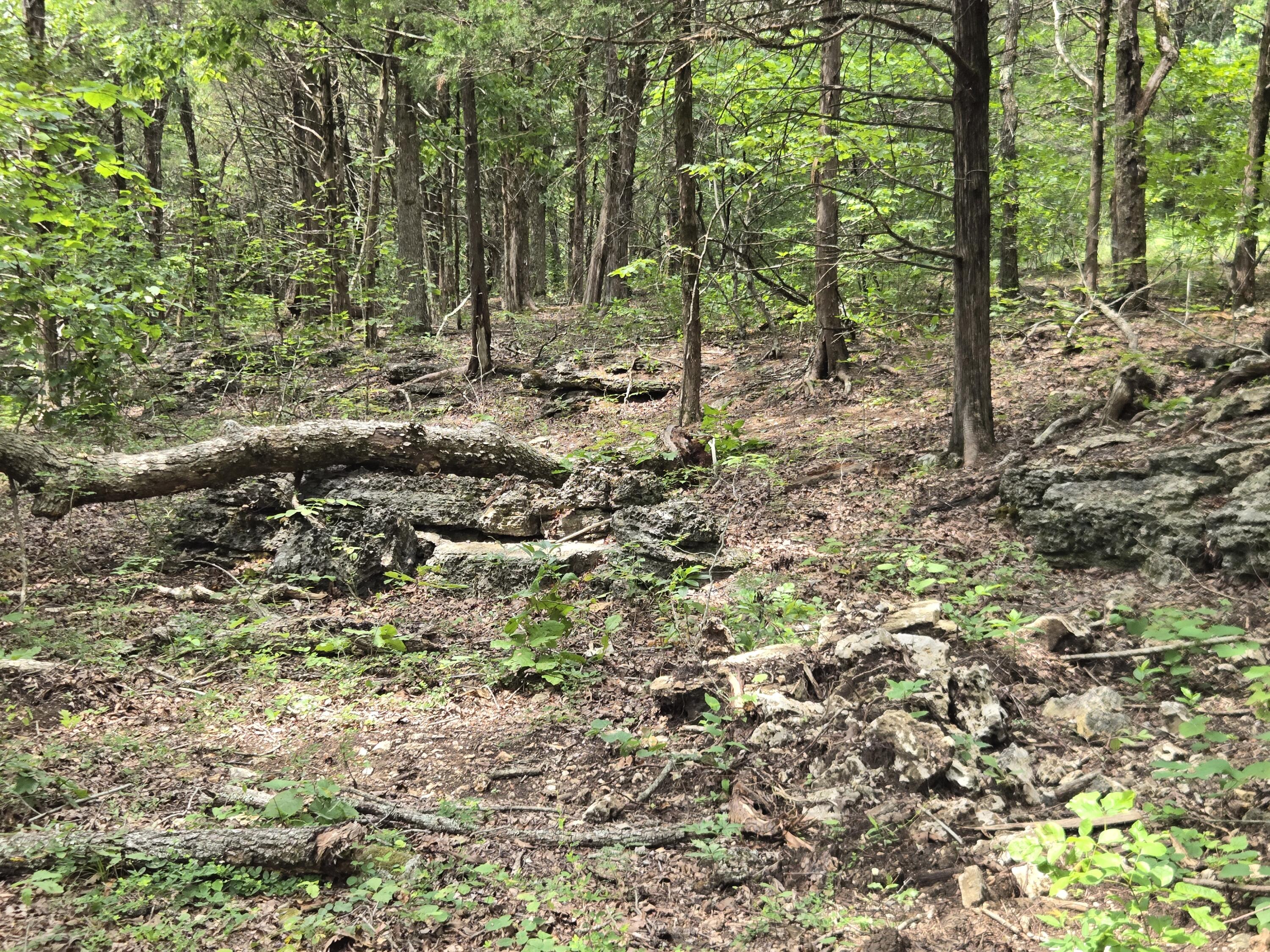 Photo 3 - Land for sale – 001  76-126   Norwood, MO