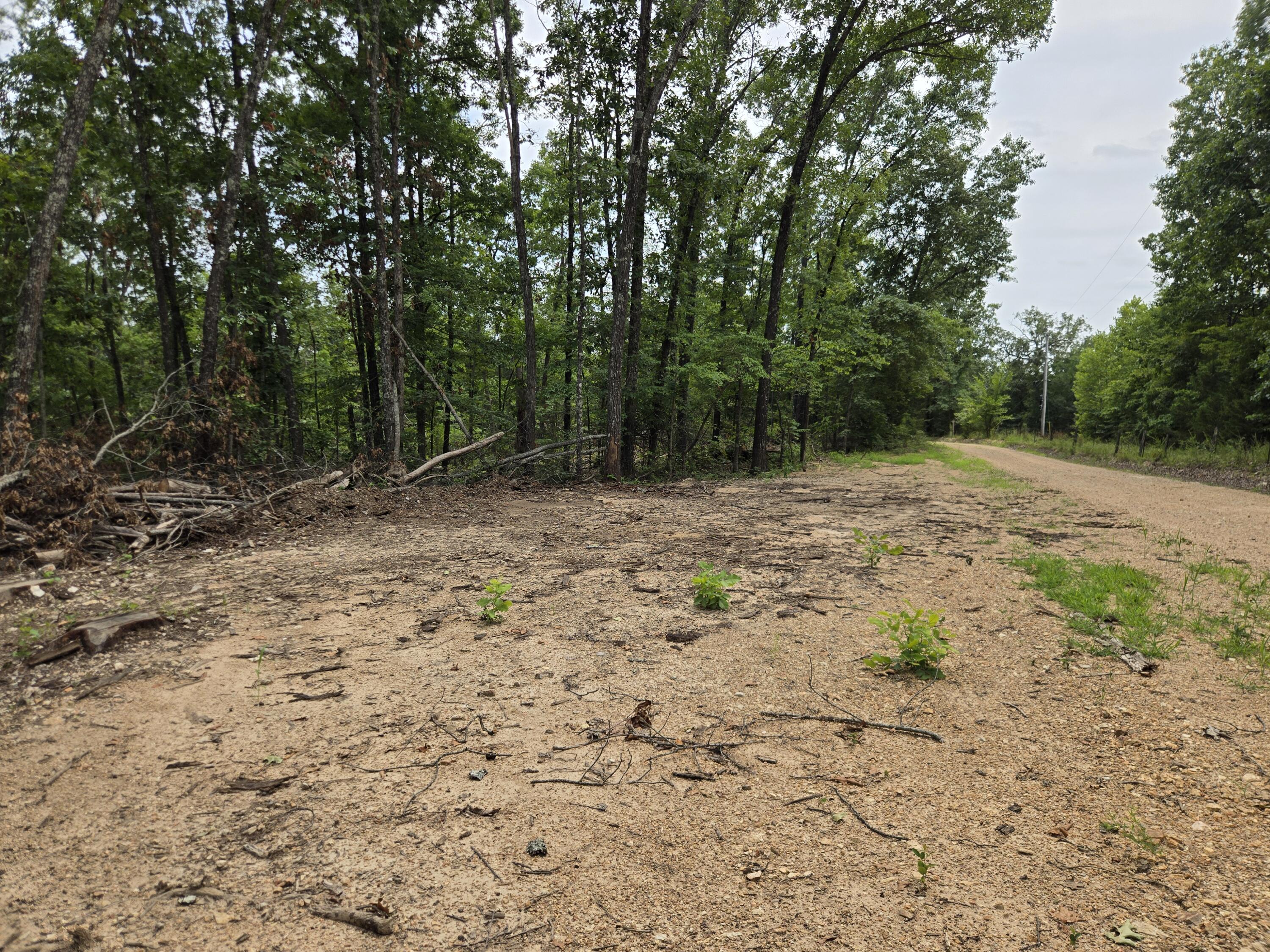 Photo 4 - Land for sale – 002  76-126   Norwood, MO