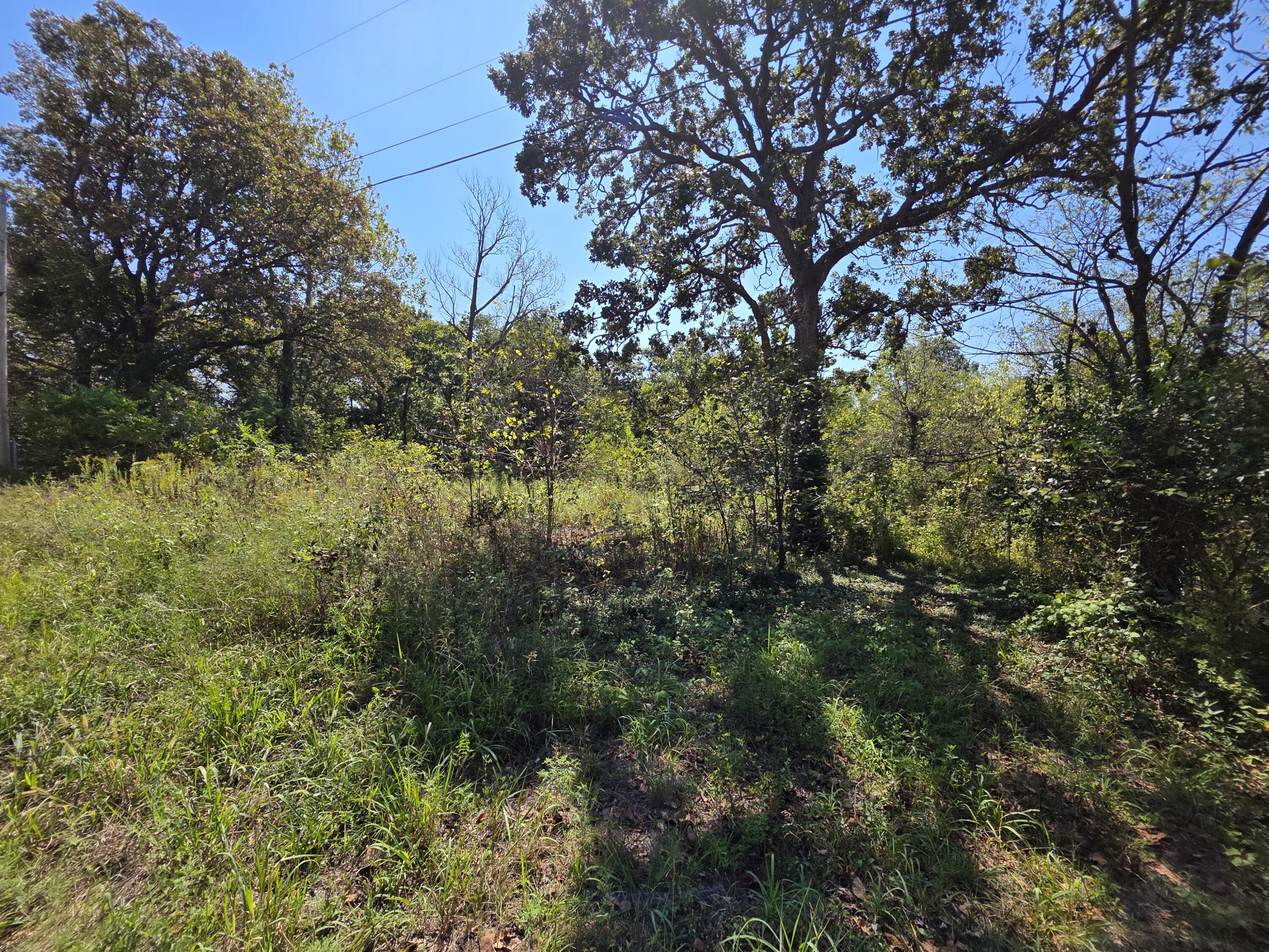 Photo 2 - Land for sale – 000 E Abbott Road  Schell City, MO