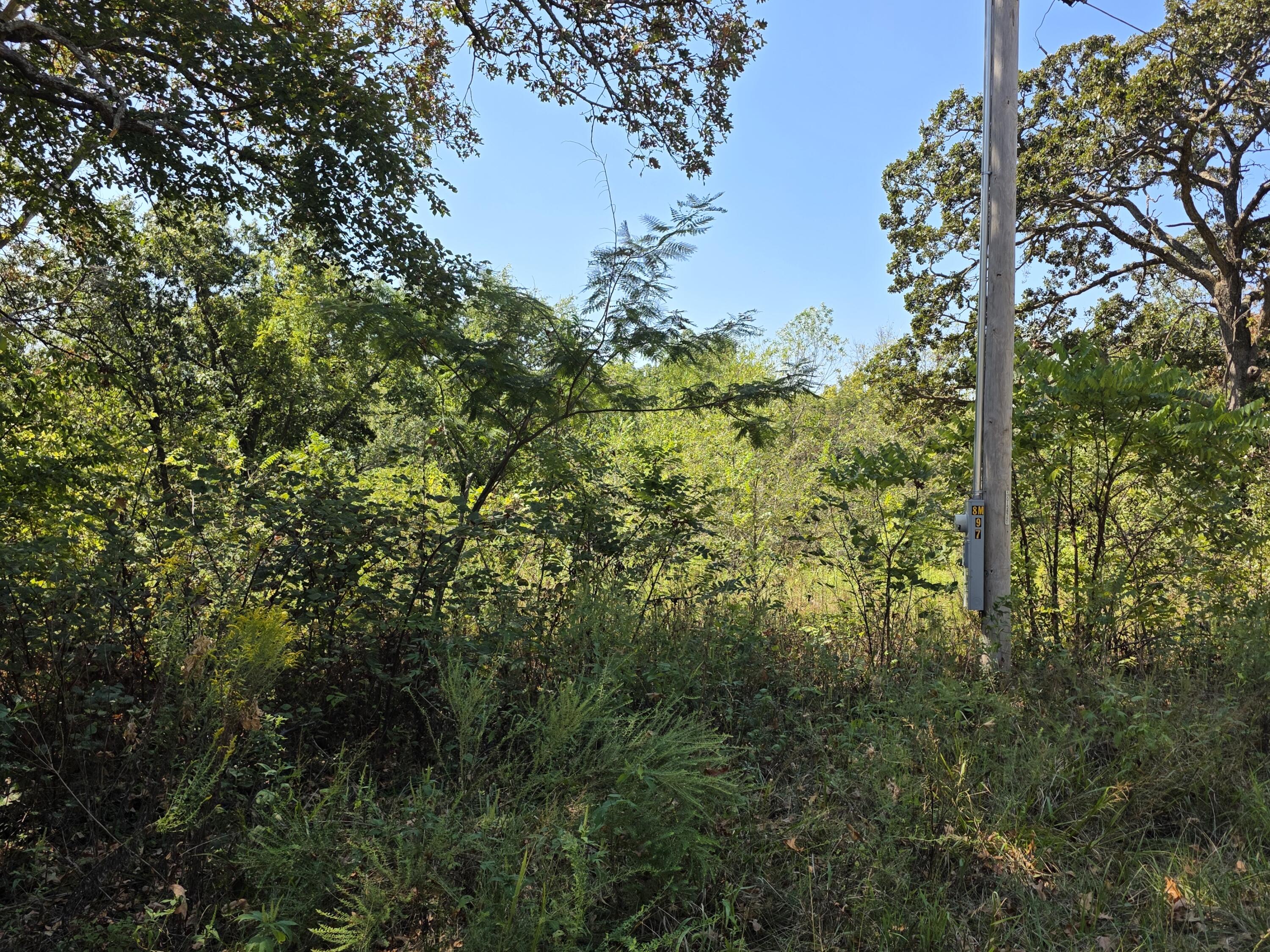 Photo 4 - Land for sale – 000 E Abbott Road  Schell City, MO