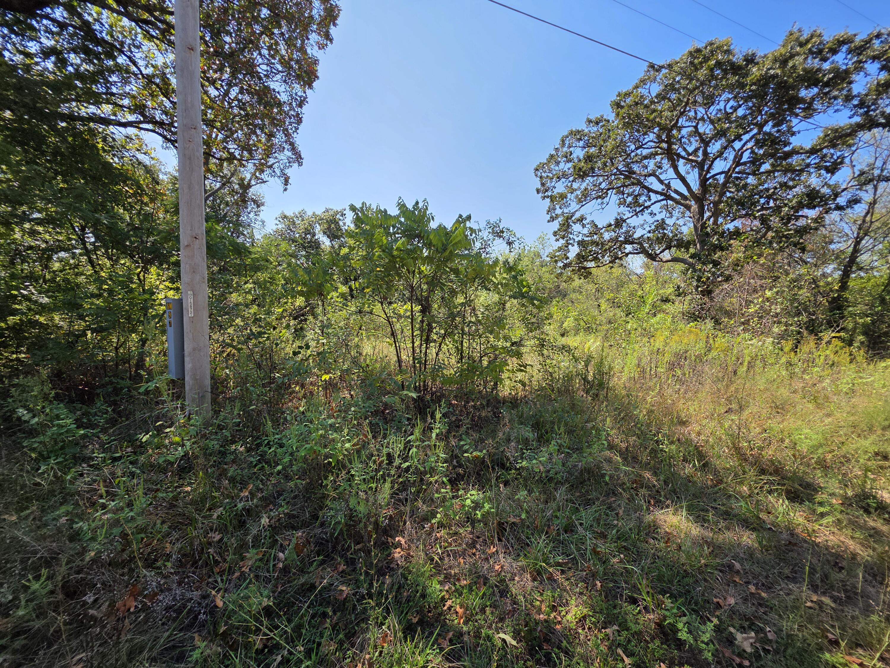 Photo 5 - Land for sale – 000 E Abbott Road  Schell City, MO