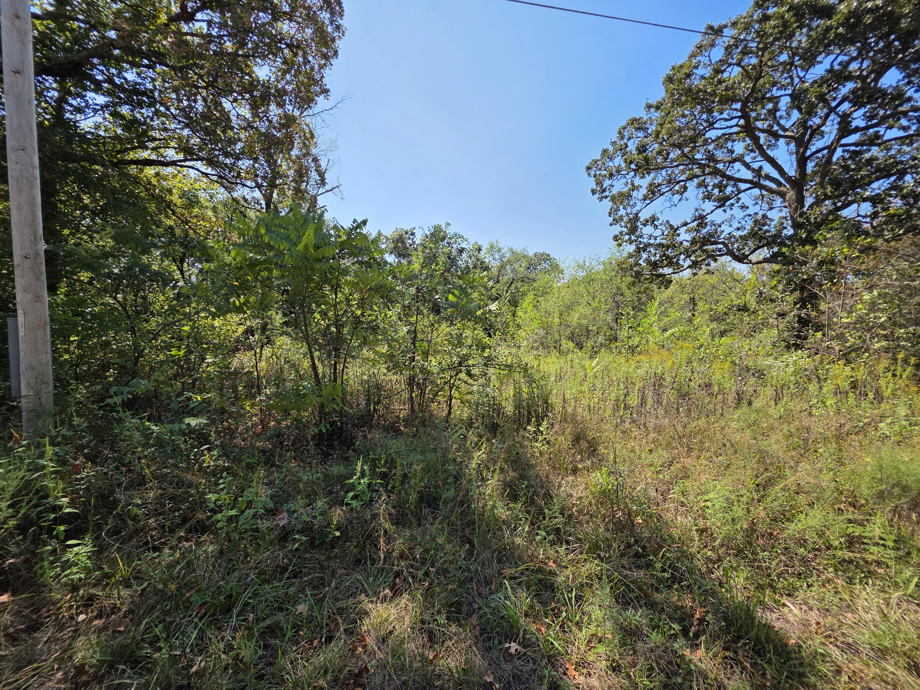 Land for sale – 000 E Abbott Road  Schell City, MO