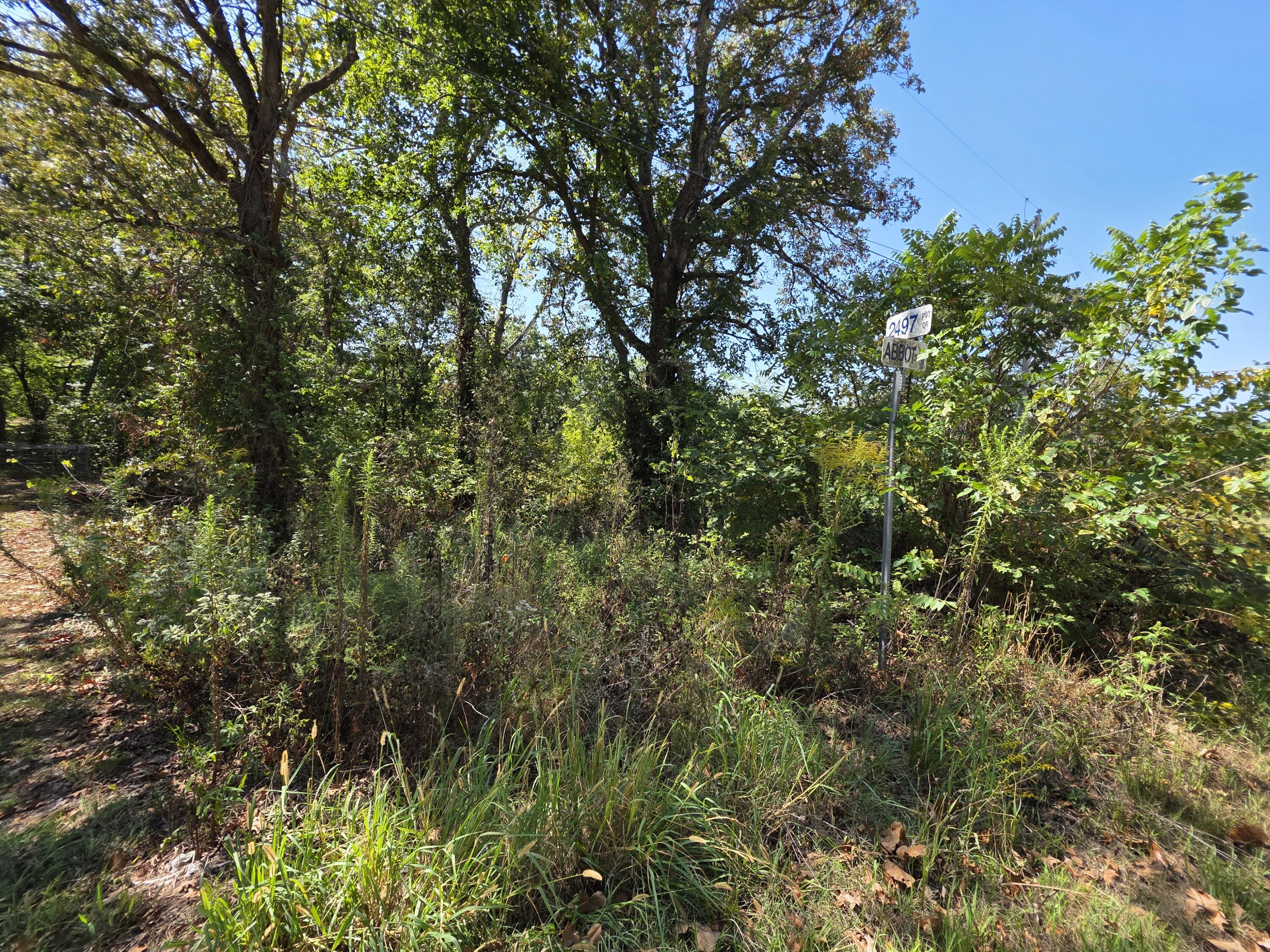 Photo 3 - Land for sale – 000 E Abbott Road  Schell City, MO