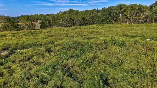 Photo 13 - Commercial Sale for sale – 6409 E Us Highway 60 Tract 1   Rogersville, MO