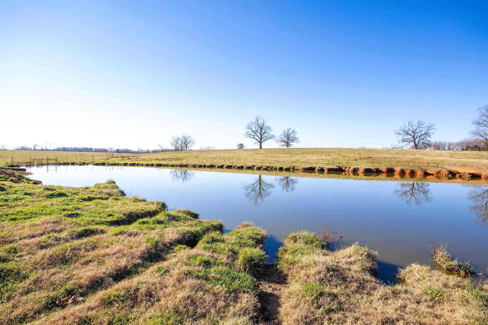 Photo 10 - Farm for sale – Tbd  Honeysuckle Lane   Oak Grove, AR