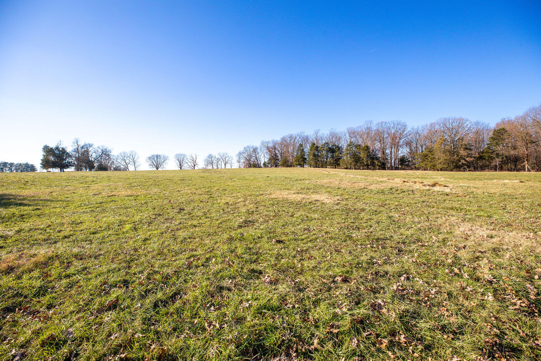 Photo 18 - Farm for sale – Tbd  Honeysuckle Lane   Oak Grove, AR