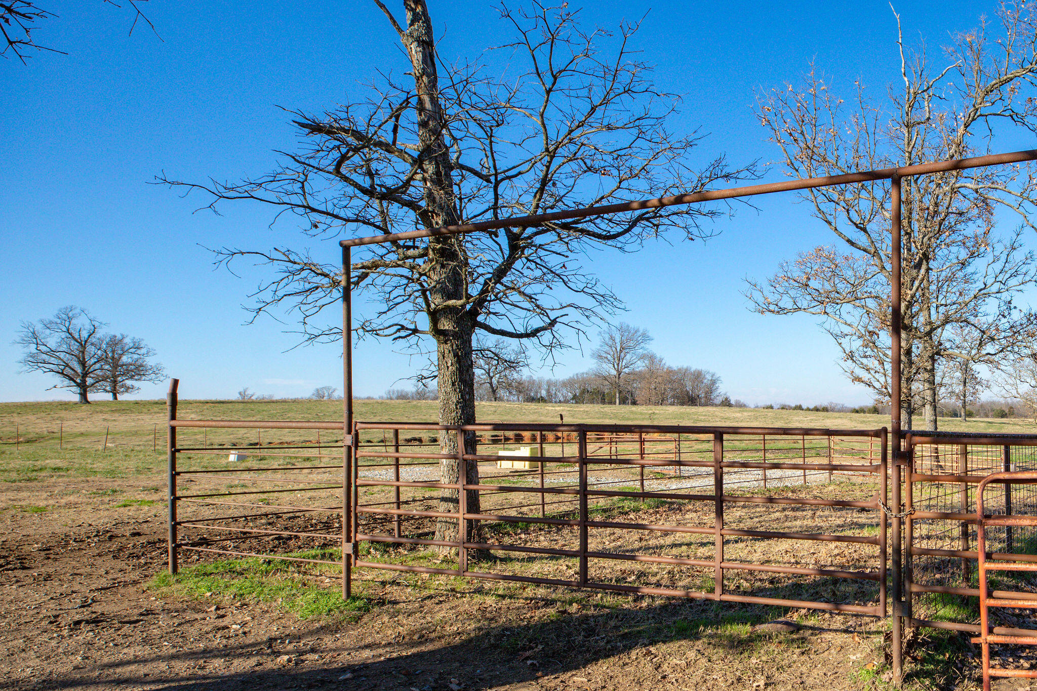 Photo 8 - Farm for sale – Tbd  Honeysuckle Lane   Oak Grove, AR