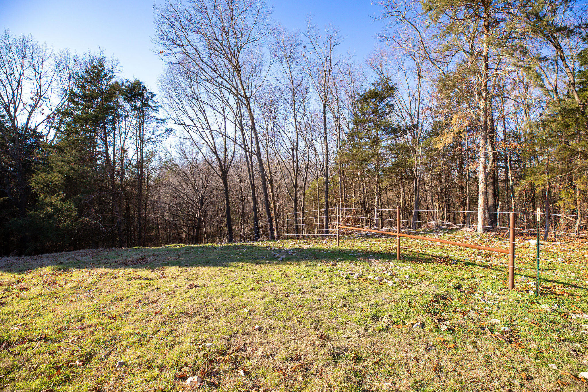 Photo 12 - Farm for sale – Tbd  Honeysuckle Lane   Oak Grove, AR