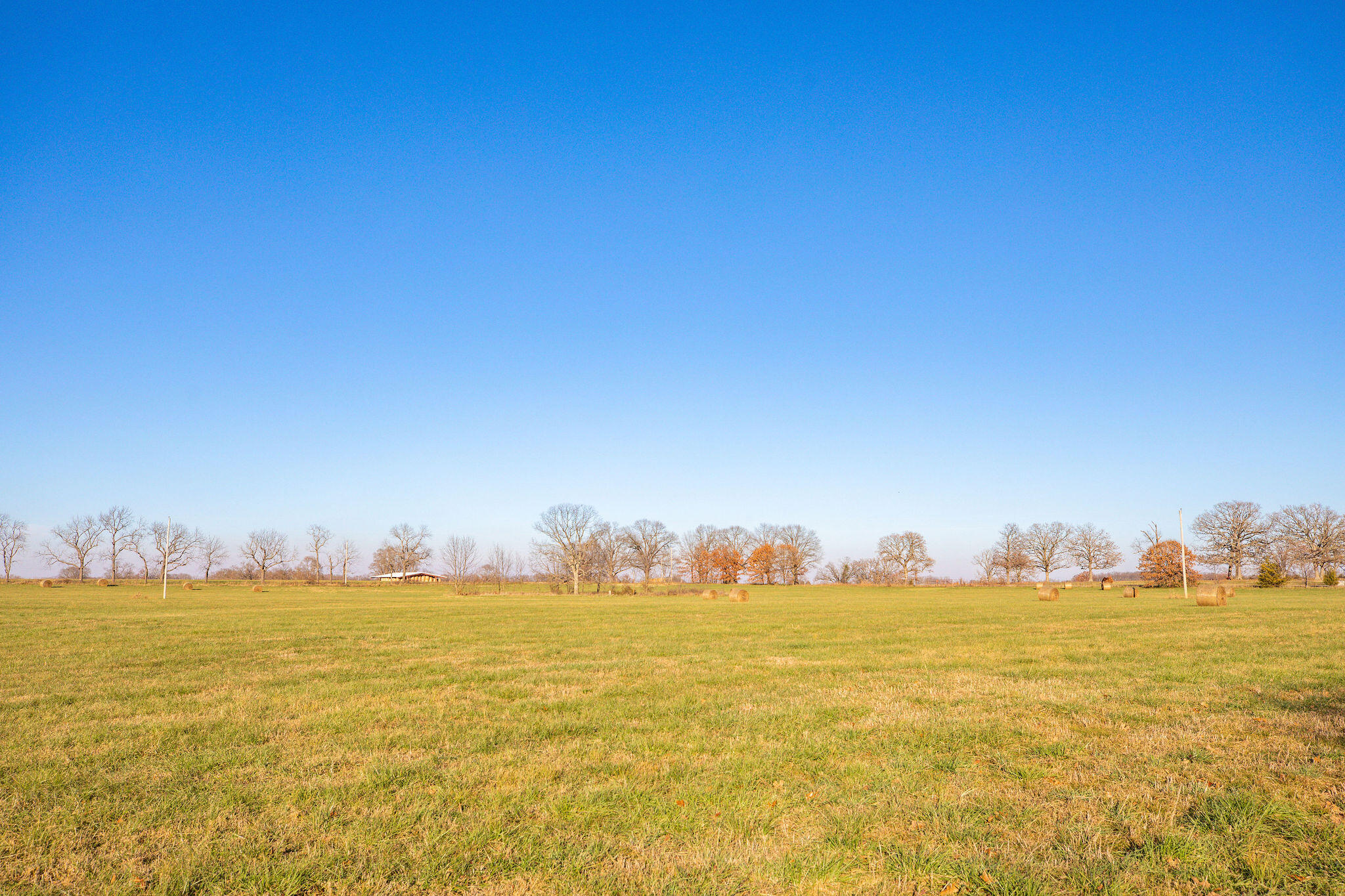 Photo 28 - Farm for sale – Tbd  Honeysuckle Lane   Oak Grove, AR