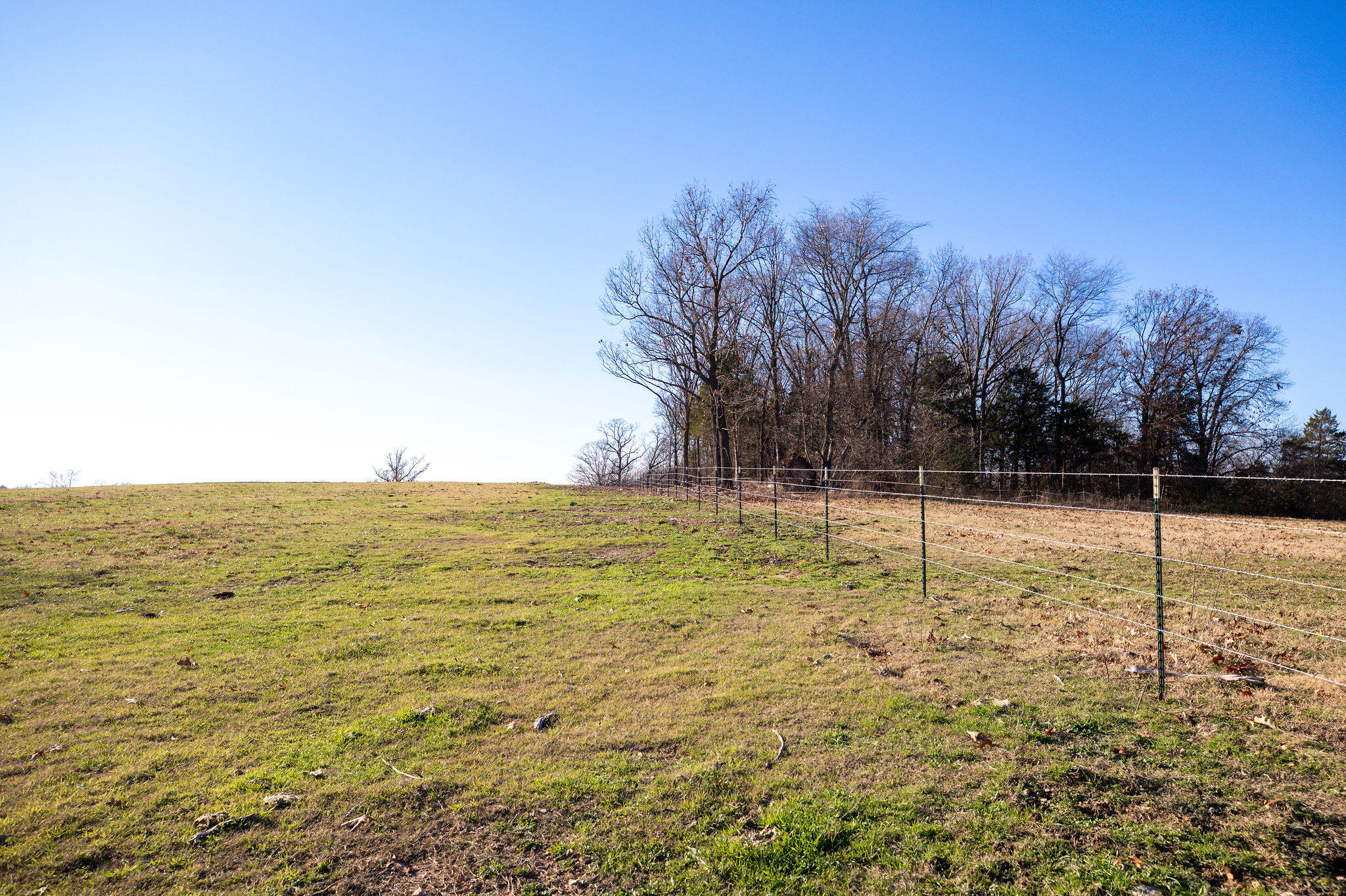 Photo 11 - Farm for sale – Tbd  Honeysuckle Lane   Oak Grove, AR