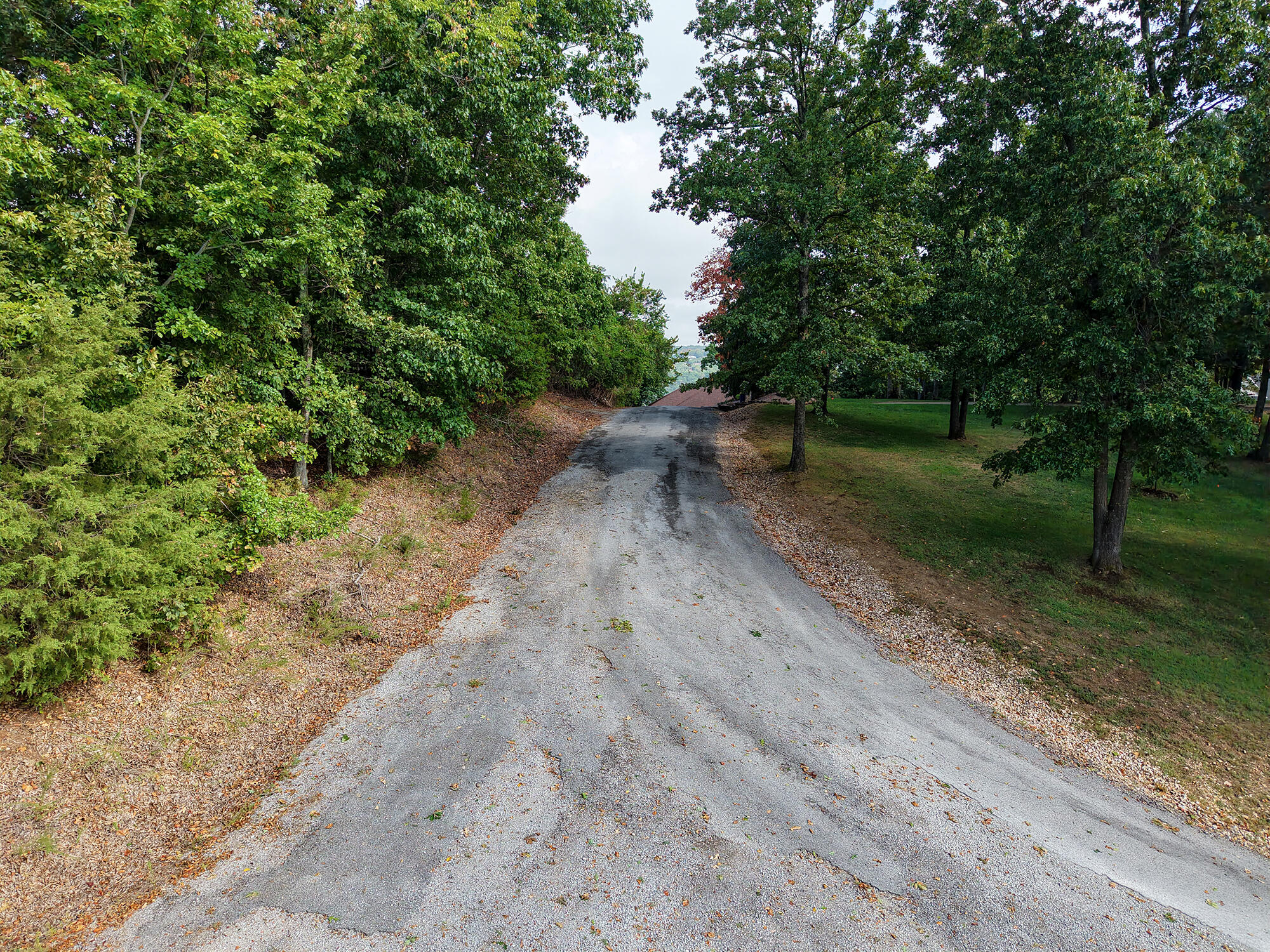 Photo 9 - Land for sale – 88  Lazarus Road  Reeds Spring, MO