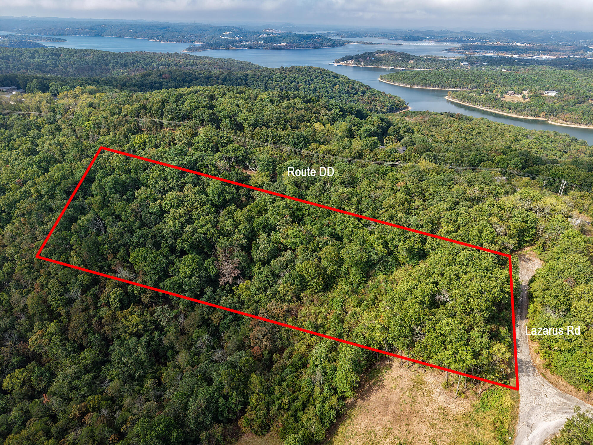 Photo 13 - Land for sale – 88  Lazarus Road  Reeds Spring, MO
