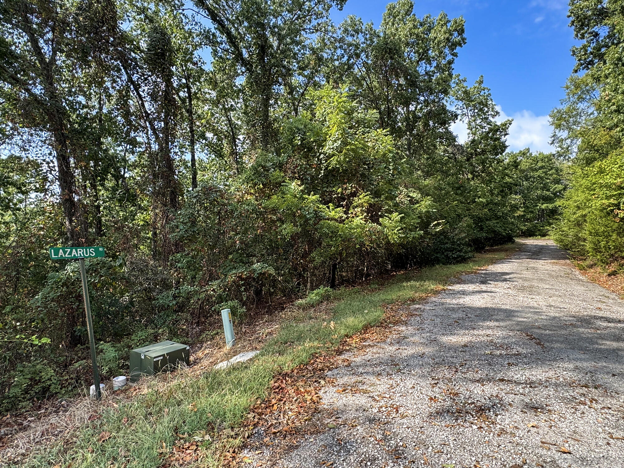 Photo 10 - Land for sale – 88  Lazarus Road  Reeds Spring, MO