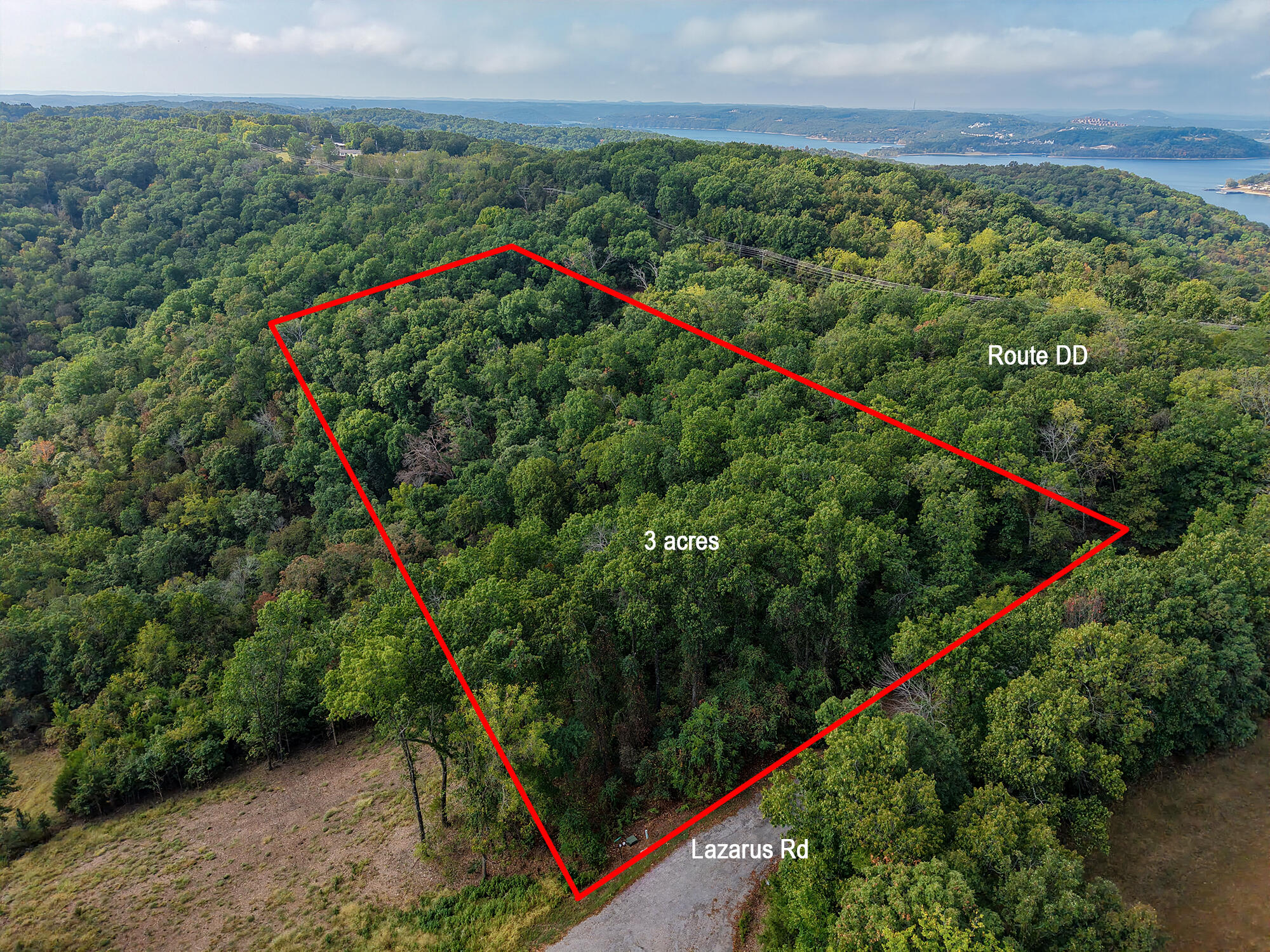 Photo 5 - Land for sale – 88  Lazarus Road  Reeds Spring, MO