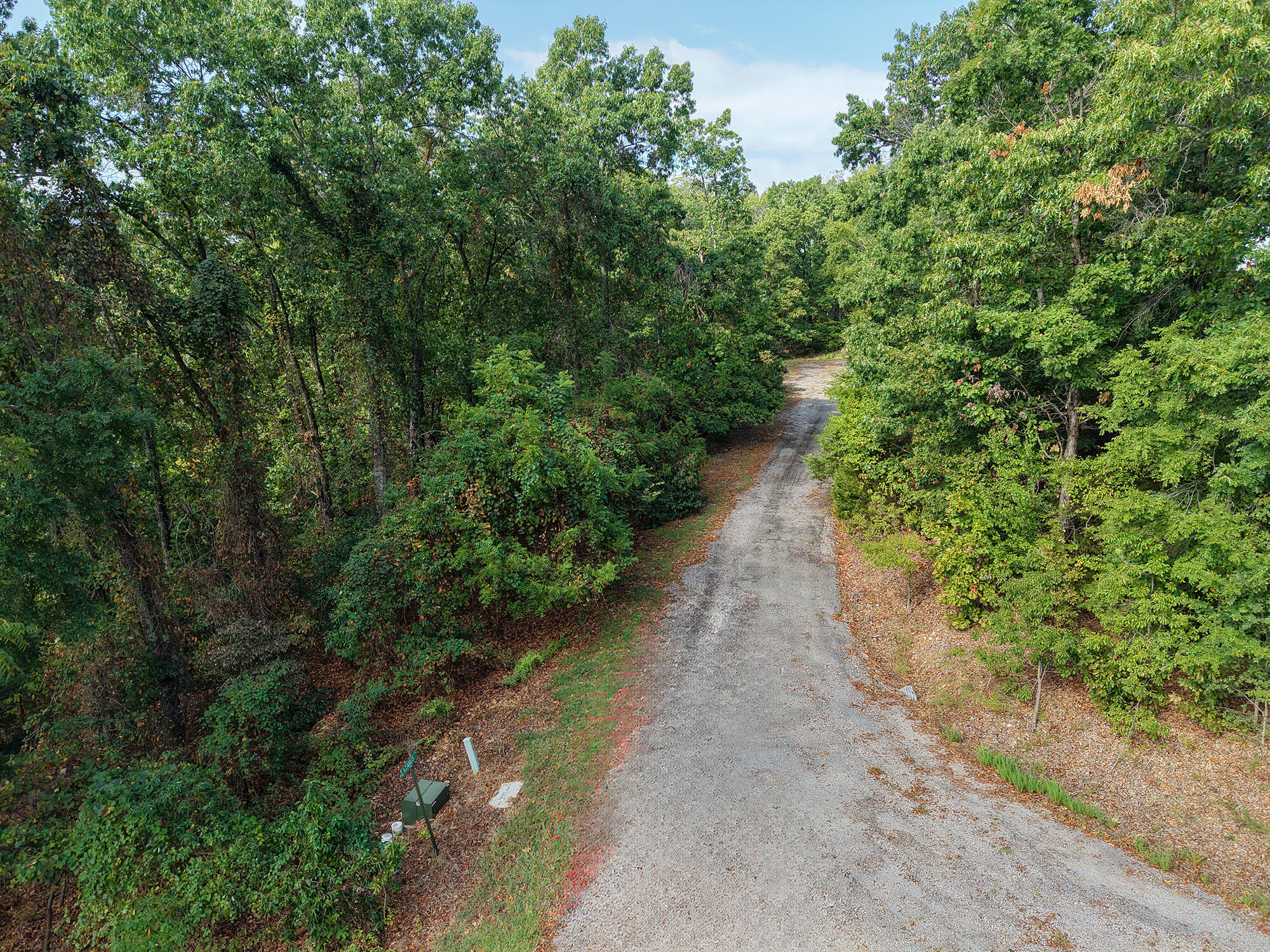 Photo 3 - Land for sale – 88  Lazarus Road  Reeds Spring, MO