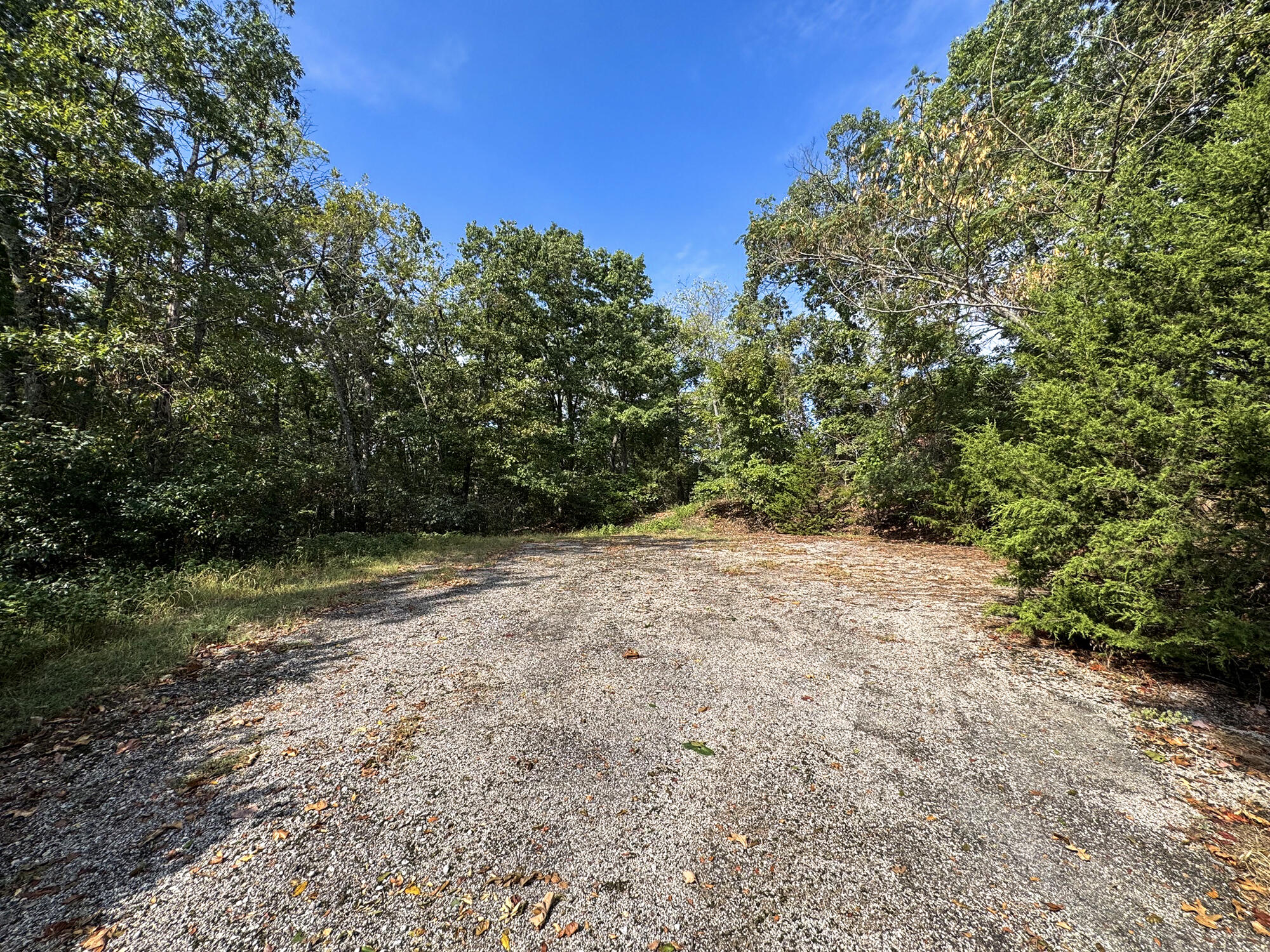 Photo 15 - Land for sale – 88  Lazarus Road  Reeds Spring, MO