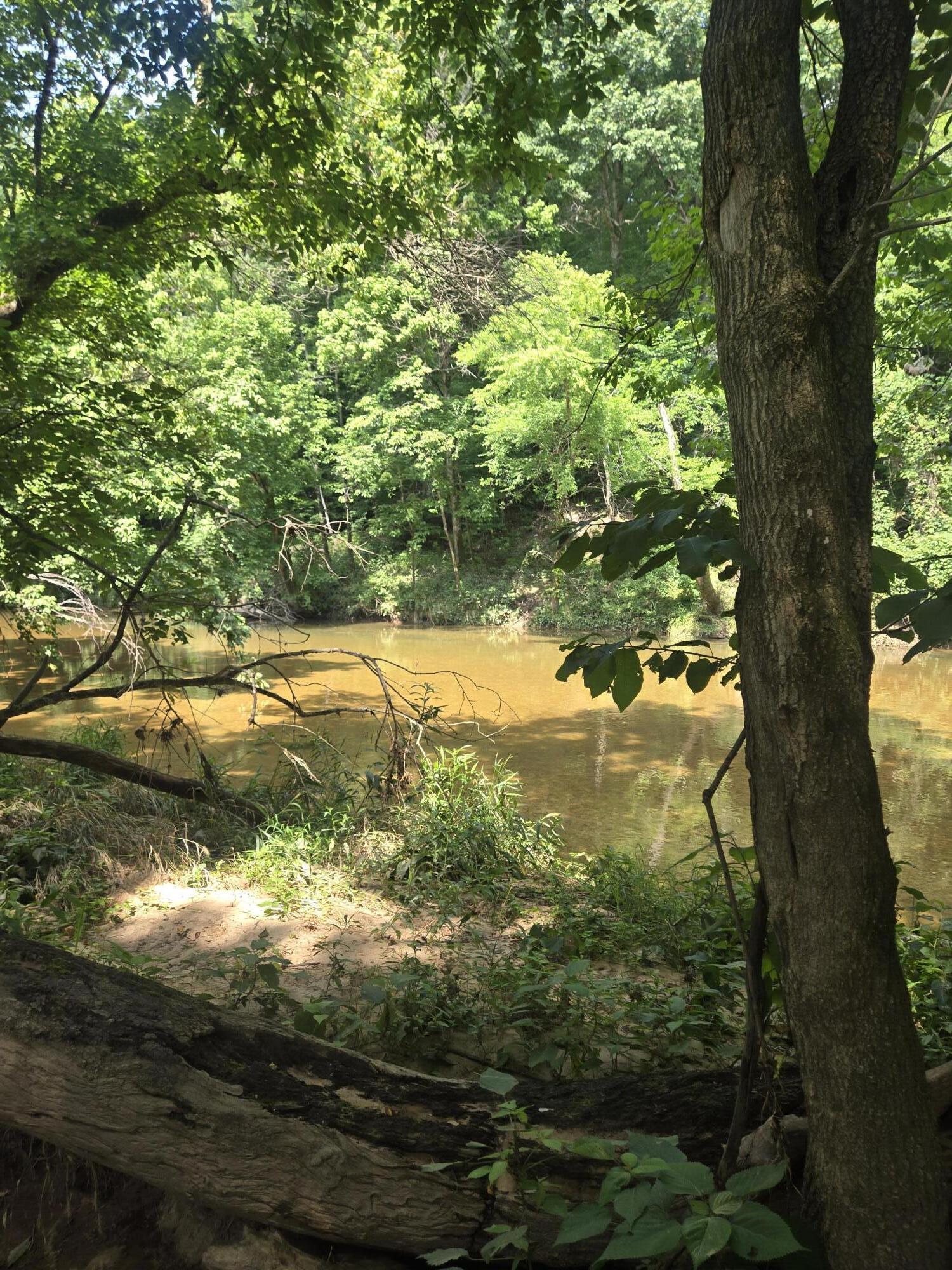 Photo 8 - Land for sale – 0000  Reaves Road  Mountain Grove, MO