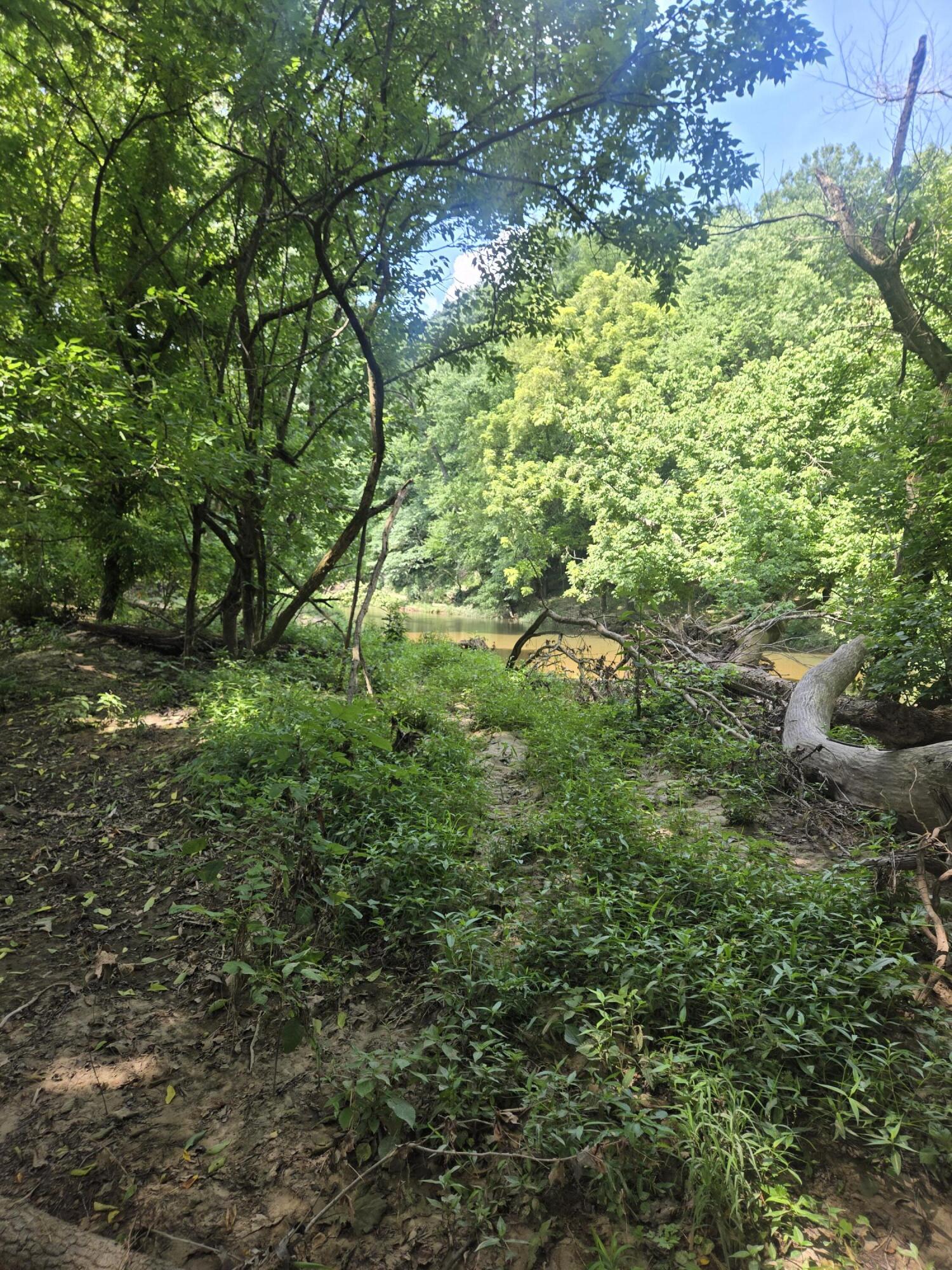 Photo 40 - Land for sale – 0000  Reaves Road  Mountain Grove, MO