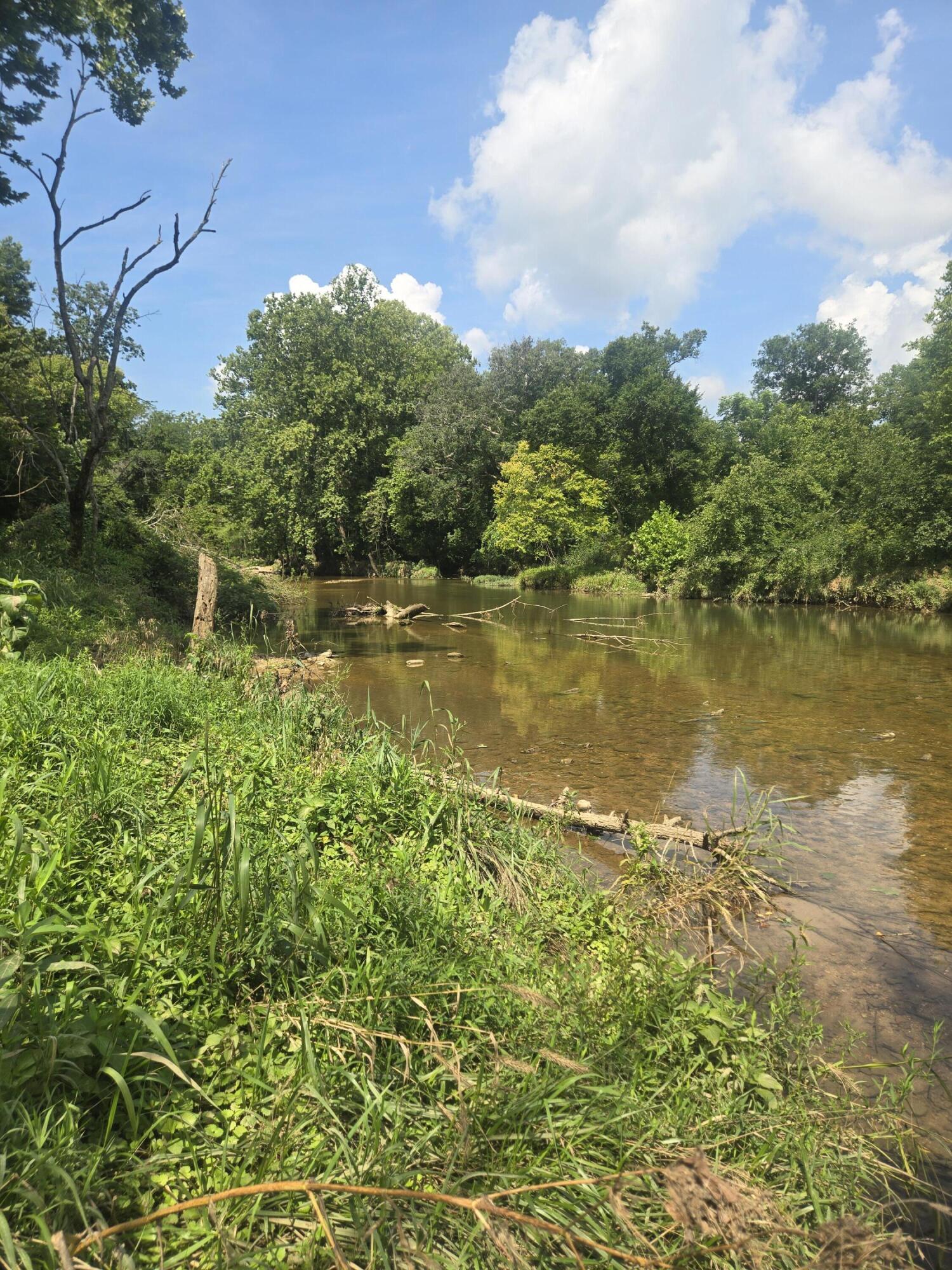 Photo 26 - Land for sale – 0000  Reaves Road  Mountain Grove, MO