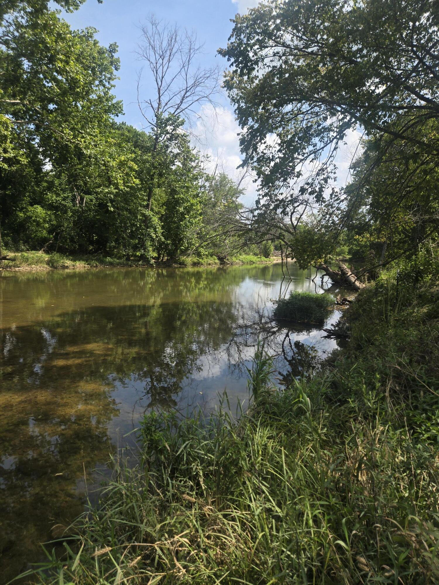 Photo 24 - Land for sale – 0000  Reaves Road  Mountain Grove, MO