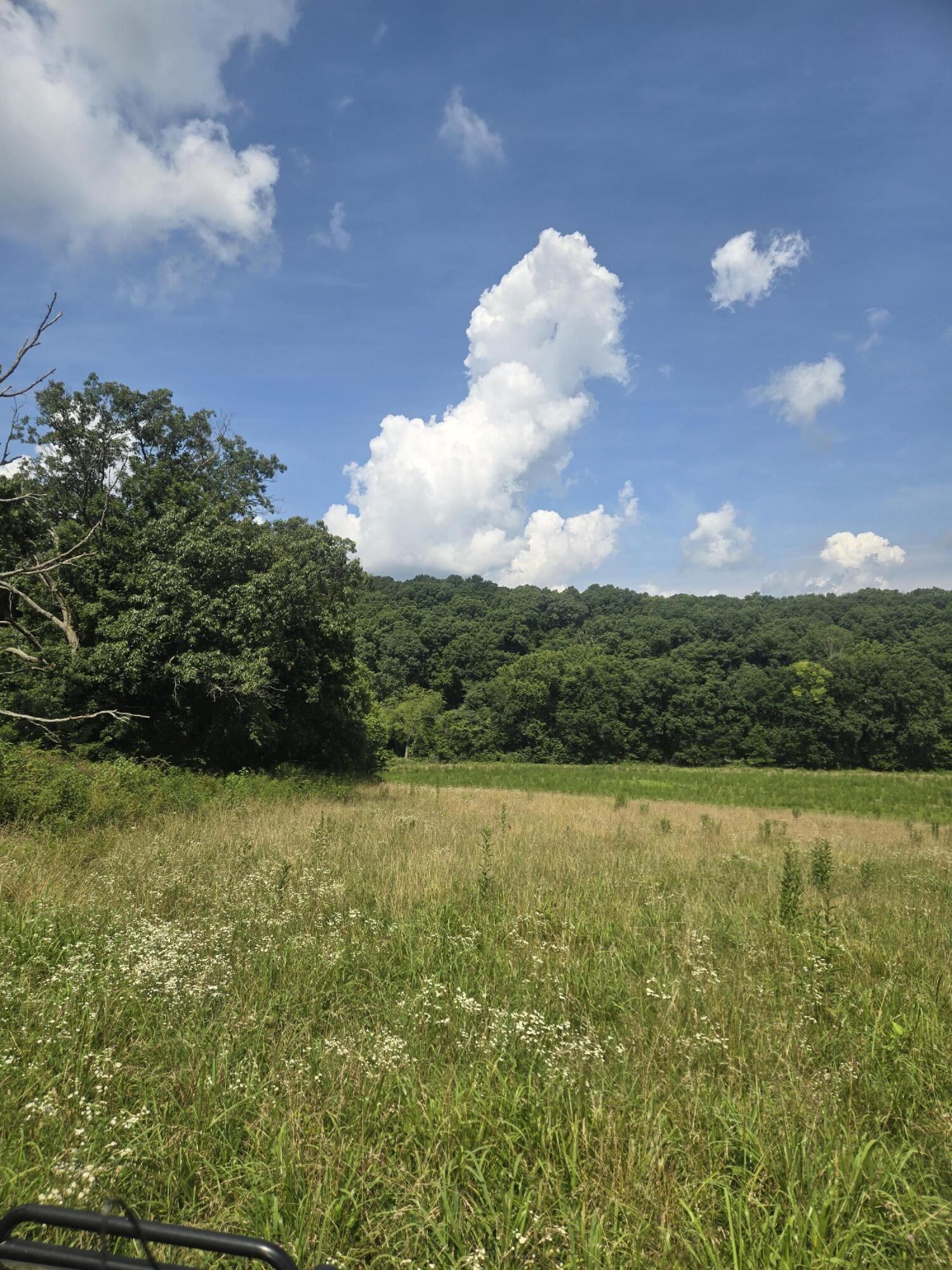 Photo 27 - Land for sale – 0000  Reaves Road  Mountain Grove, MO