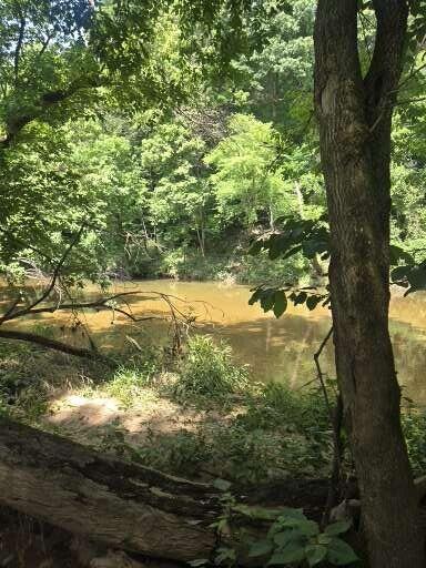 Photo 13 - Land for sale – 0000  Reaves Road  Mountain Grove, MO