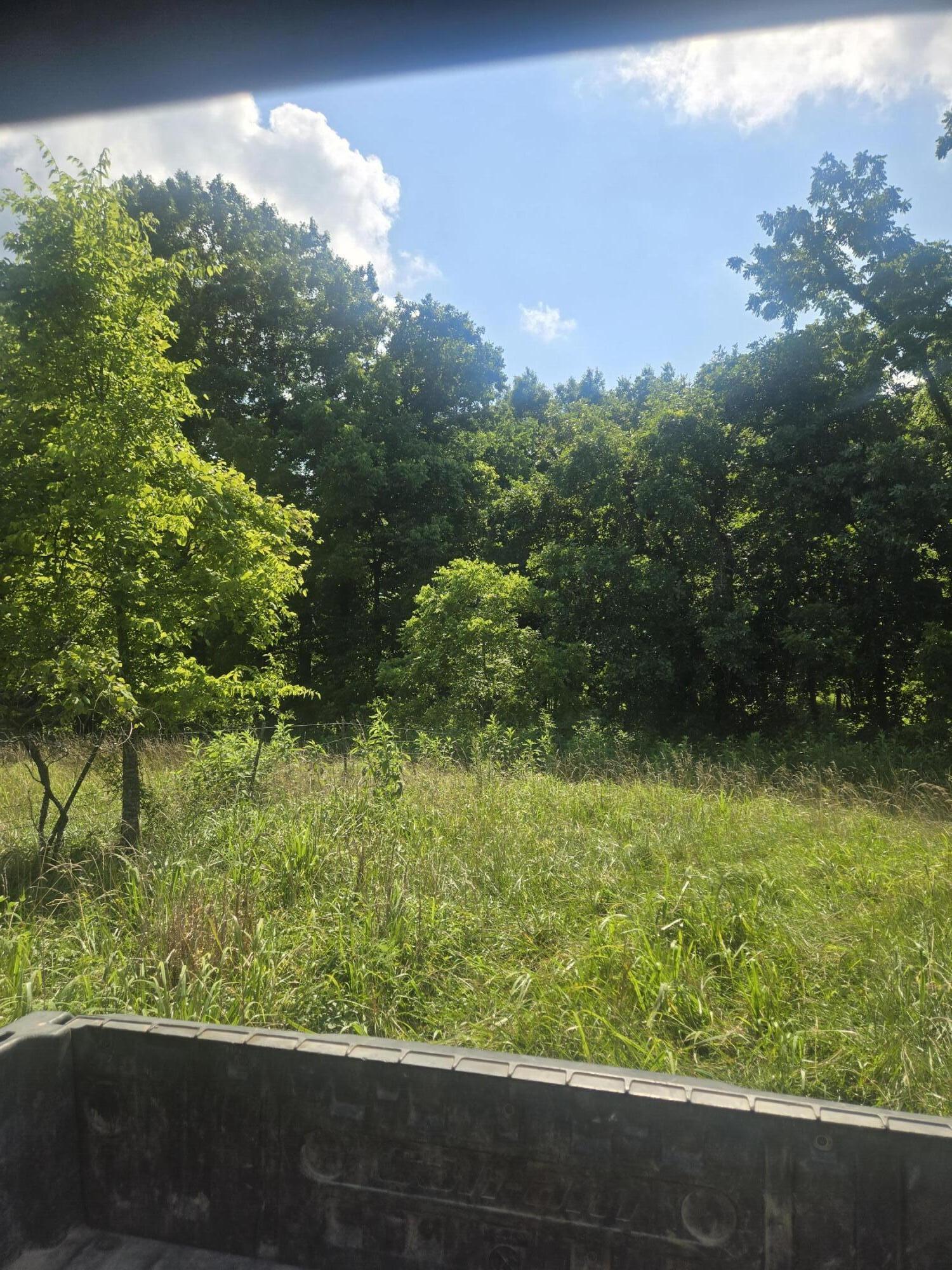 Photo 6 - Land for sale – 0000  Reaves Road  Mountain Grove, MO