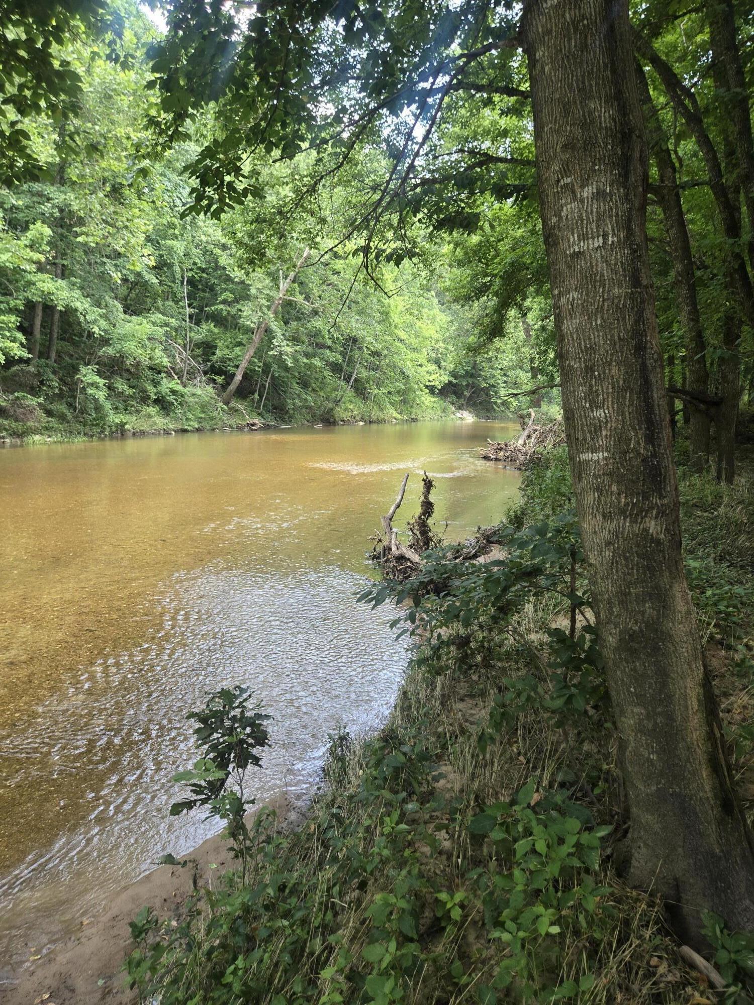 Photo 10 - Land for sale – 0000  Reaves Road  Mountain Grove, MO