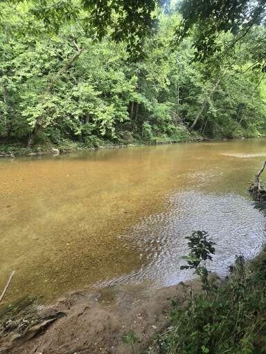 Photo 35 - Land for sale – 0000  Reaves Road  Mountain Grove, MO